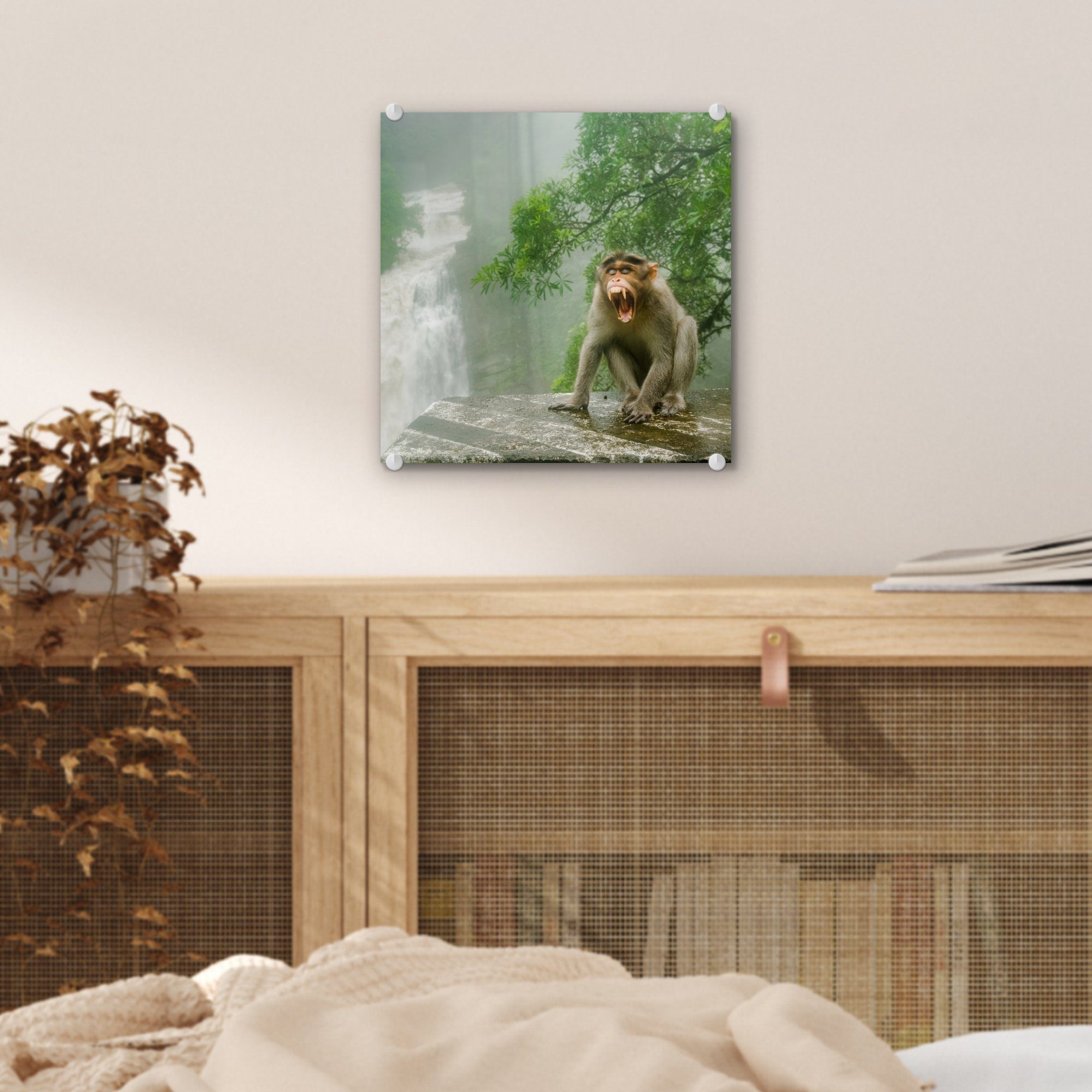 MuchoWow Acrylglasbild Schreiender Affe - - Wasserfall, Wandbild Wanddekoration Bilder vor Foto auf Glas - Glasbilder Glas (1 auf St)