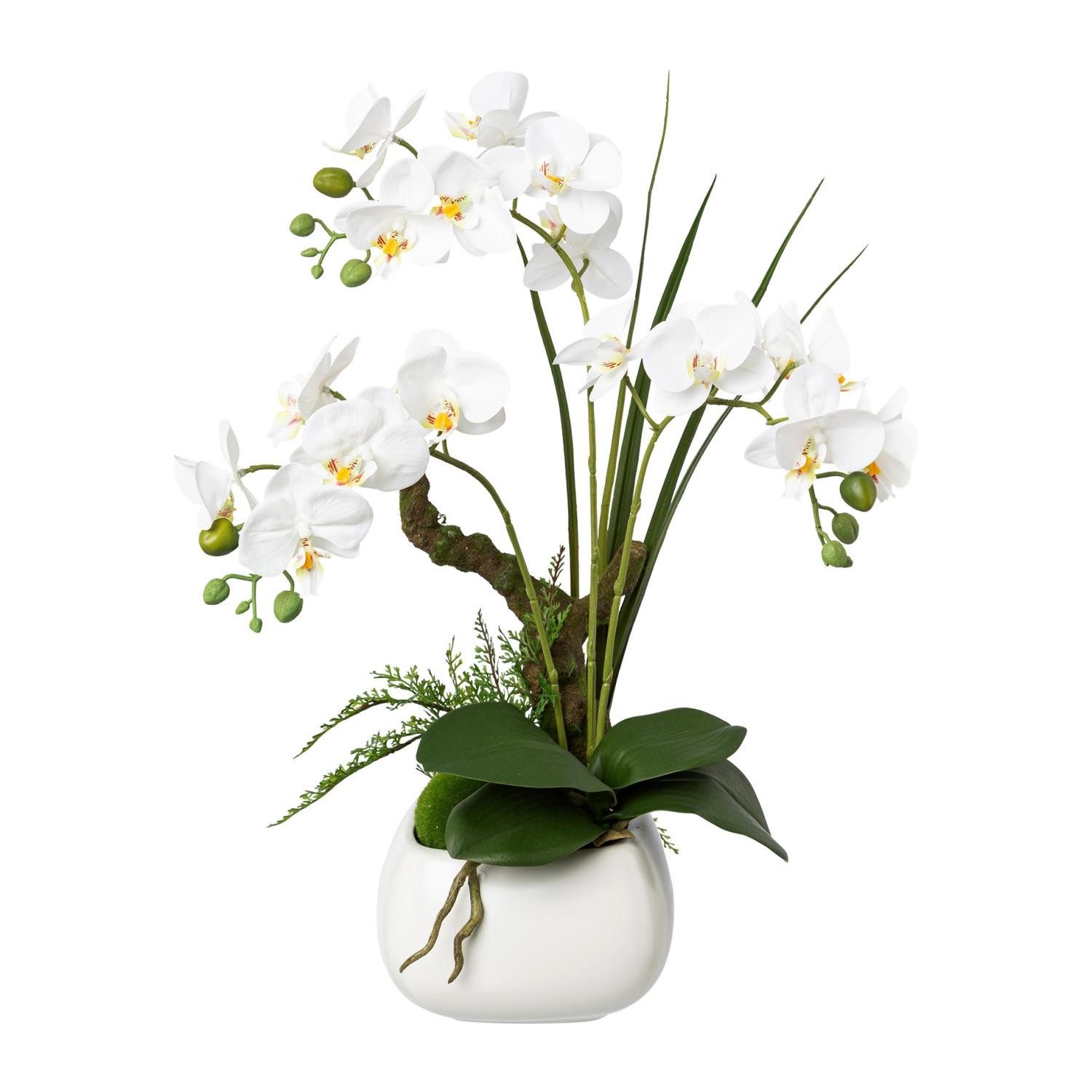 Kunstorchidee Weiß, Durchmesser 1 cm, Gasper, Höhe 44 cm, Im Topf, Weiß, Motiv: Orchidee