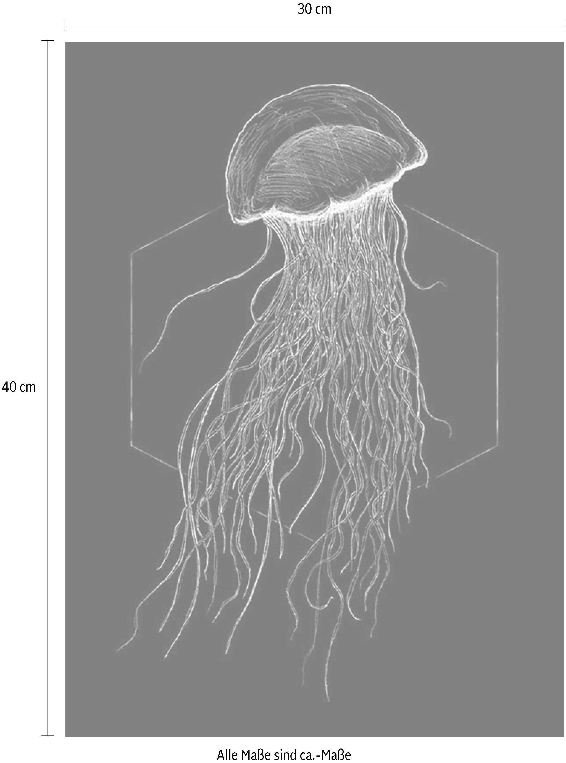 Komar Poster Jellyfish Black, (1 Wohnzimmer Schlafzimmer, Kinderzimmer, Tiere St)