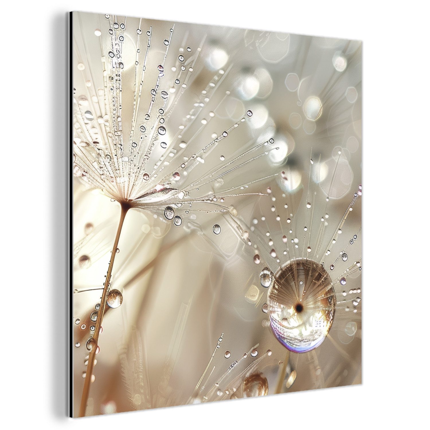 MuchoWow Metallbild Natur - Blumen - günstig online kaufen