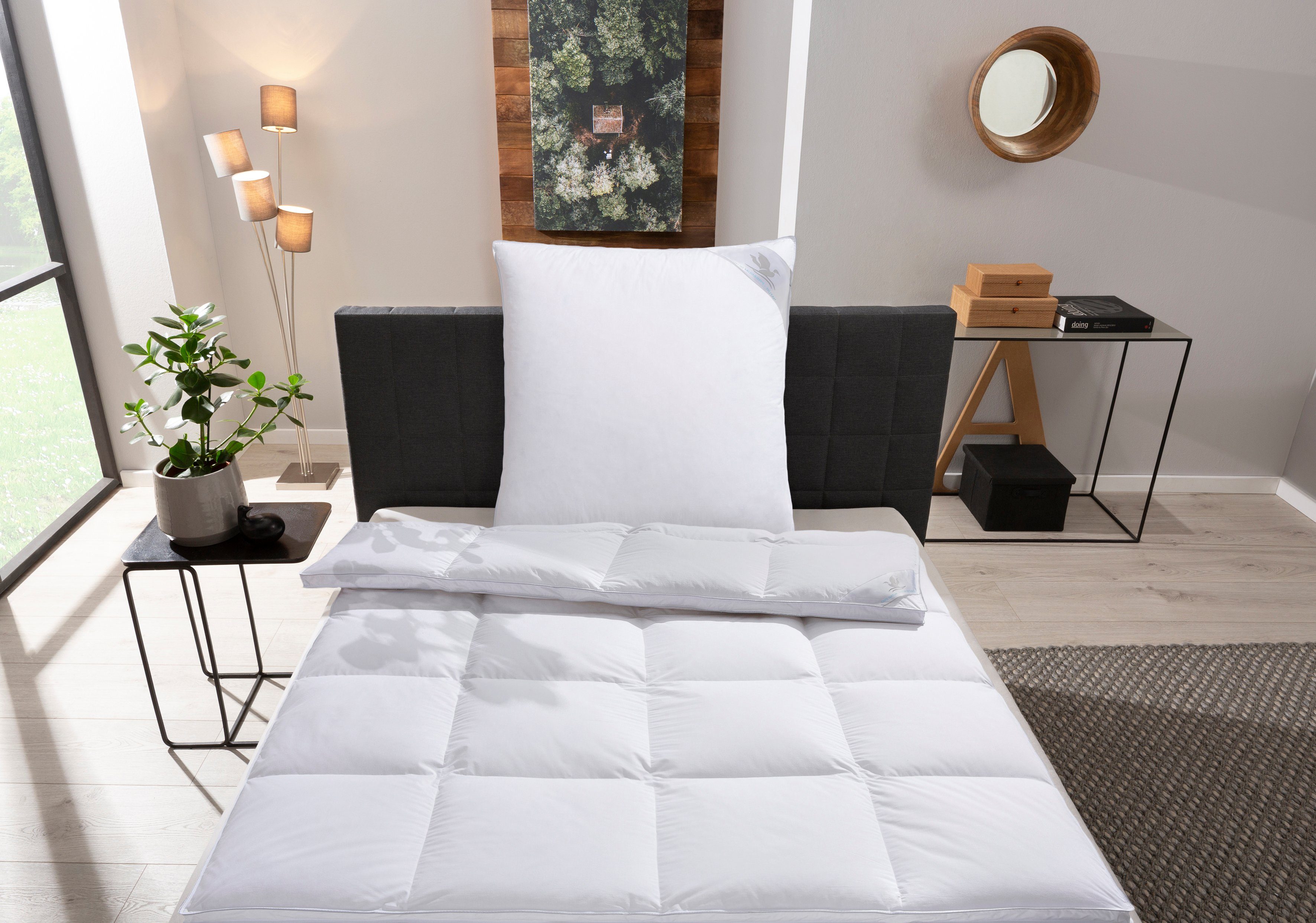 Otto Keller Daunenbettdecke + Kopfkissen Star, Decke mit Kissen, verschiede günstig online kaufen