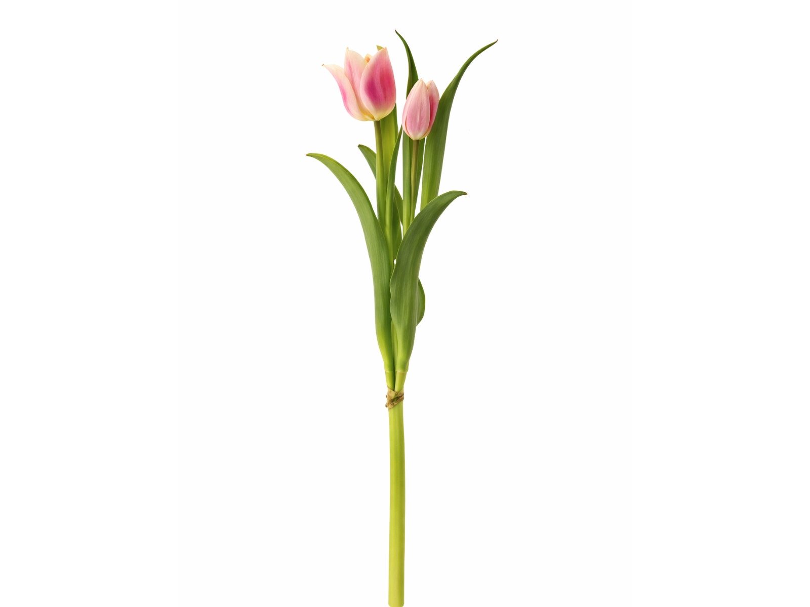 Kunstblume Tulpenbund pink 40cm, Exner GmbH Garten- & Wohnaccessoires, Höhe 40 cm