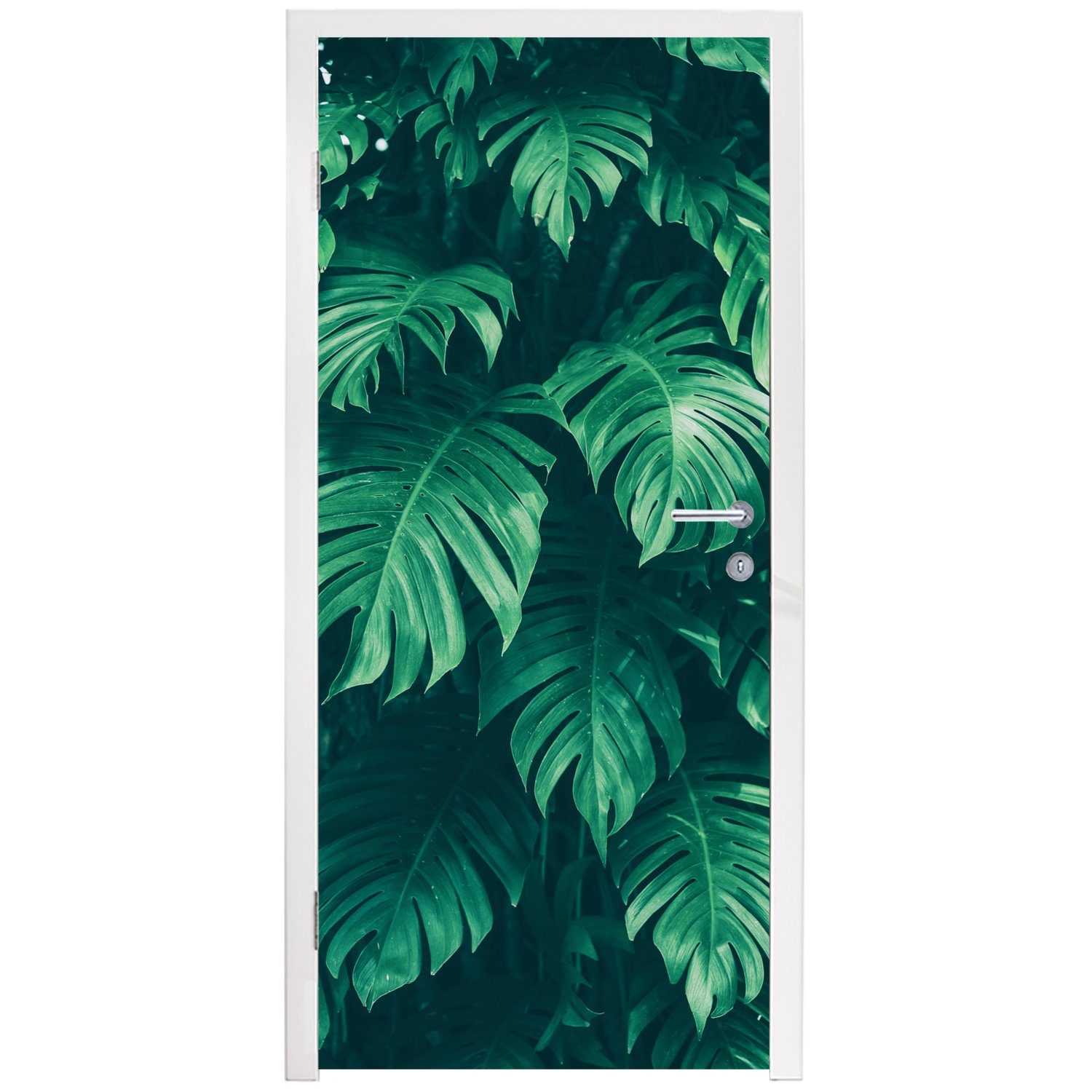 Türtapete Natur, - cm MuchoWow - 75x205 für - Monstera Fototapete - (1 St), Dschungel Tür, Blätter Pflanzen Matt, bedruckt, Türaufkleber,