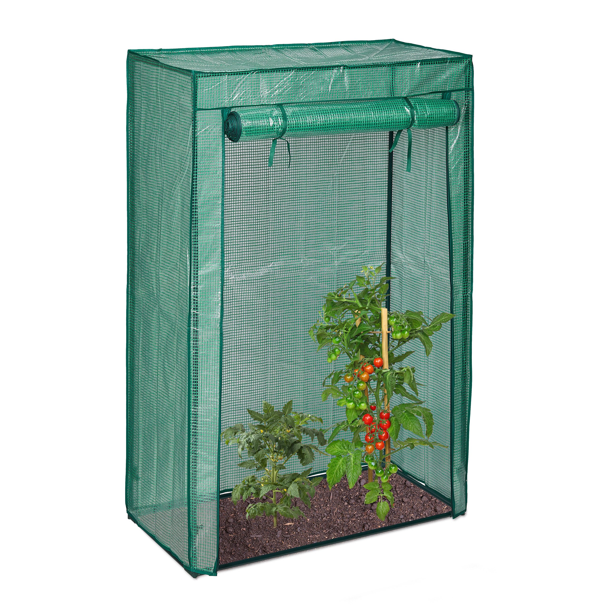 relaxdays Tomatengewächshaus für Garten und Balkon, BxTxH: 100 x 50 x 150 cm, BxLxH: 100 x 50 x 150 cm, 1-St., PE