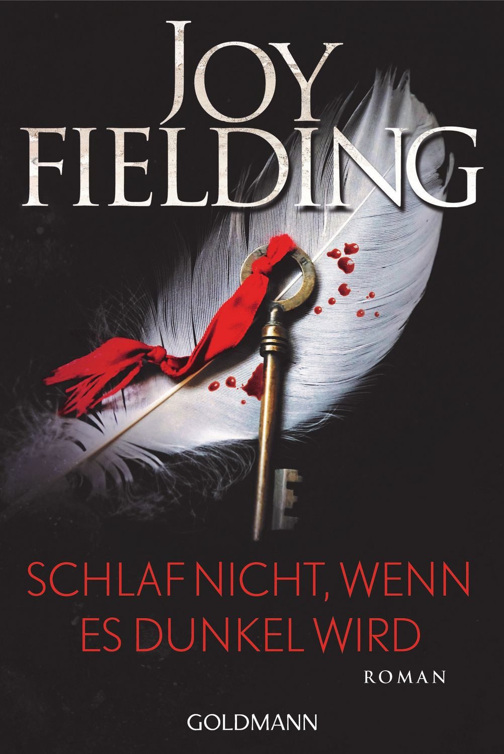 Schlaf nicht, wenn es dunkel wird / Joy Fielding