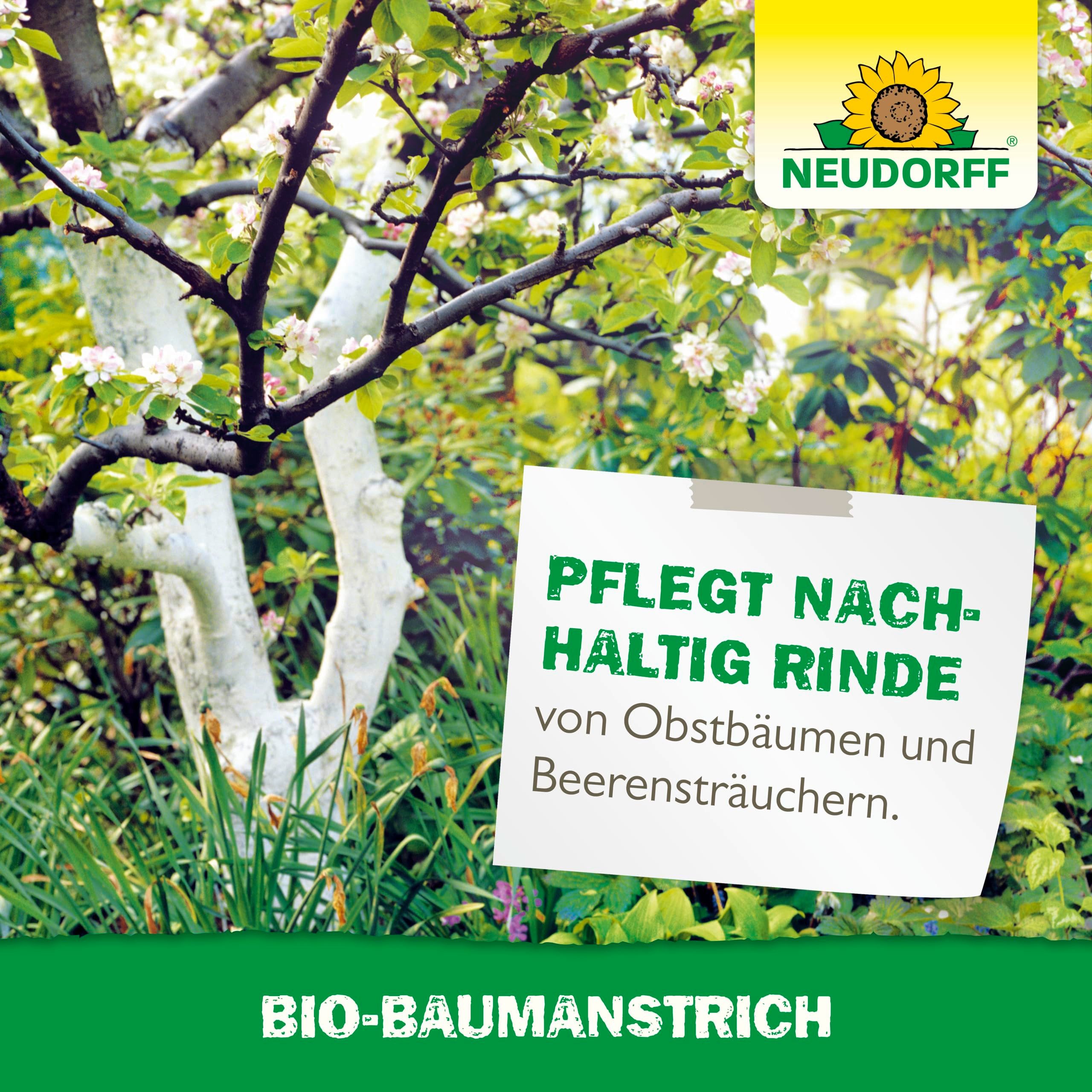 Neudorff Baumanstrich Bio-Baumanstrich 2L in max. 24h abgebunden, Anwendungsfertiger Kalkanstrich für Obstbäume zum natürlichen Weißen und Pflegen von Obstbäumen und Beerensträuchern, Weißanstrich kann ganzjährig an trockenen, Pflanzenhilfsmittel aus Natursubstanzen