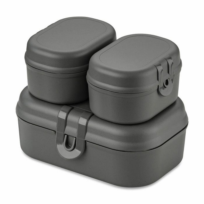 KOZIOL Lunchbox Pascal Ready Mini Nature Ash Grey Kunststoff (Set 3-tlg) ineinander stapelbar