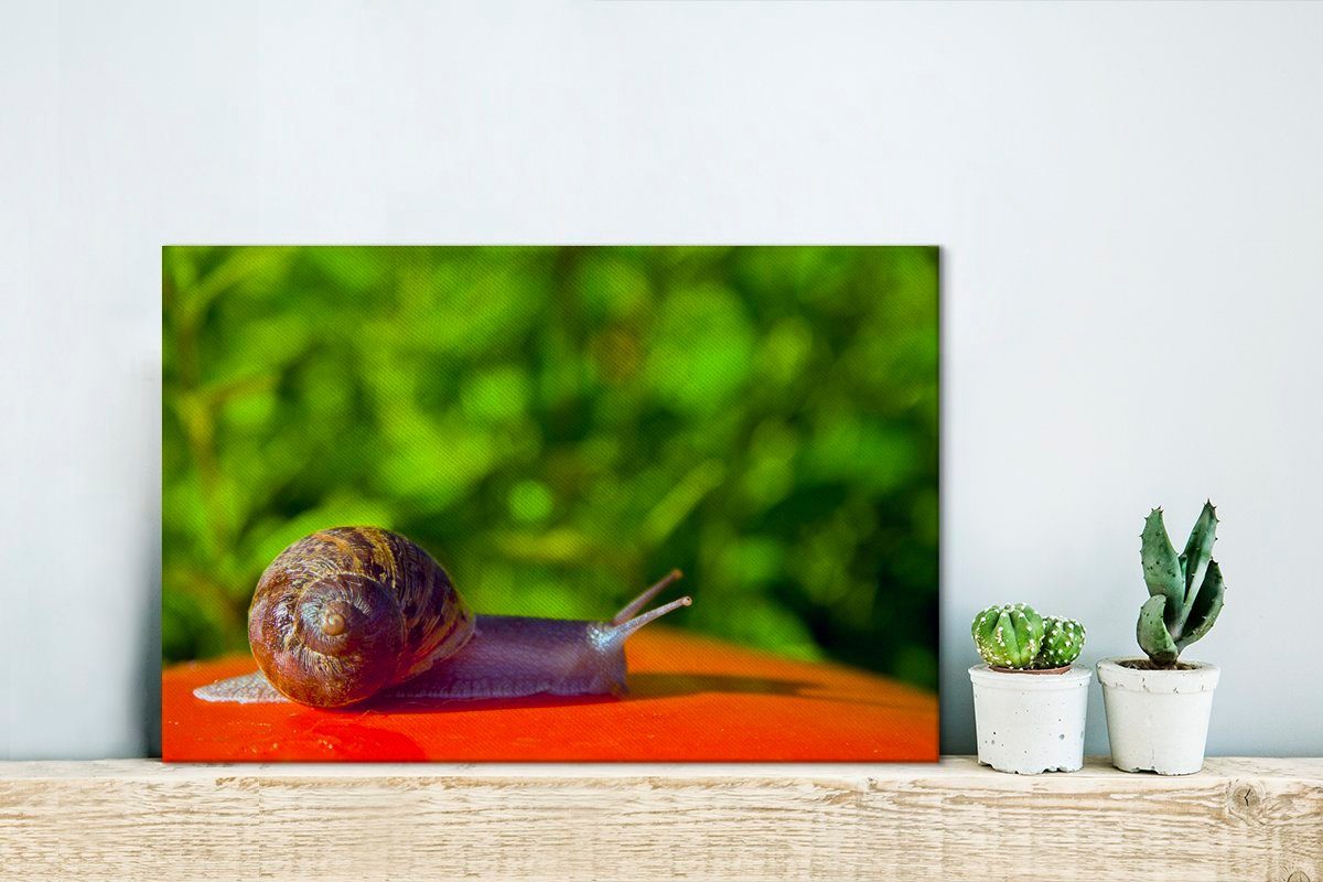OneMillionCanvasses® Leinwandbild Schnecke auf Wanddeko, Aufhängefertig, St), rotem Hintergrund, Leinwandbilder, (1 30x20 Wandbild cm