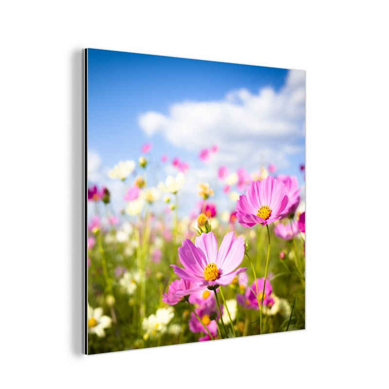 MuchoWow Metallbild Blumen - Wiese - Lila - Gras - Weiß - Wolken - Blau, (1 St), Alu-Dibond-Druck, Gemälde aus Metall, Aluminium deko