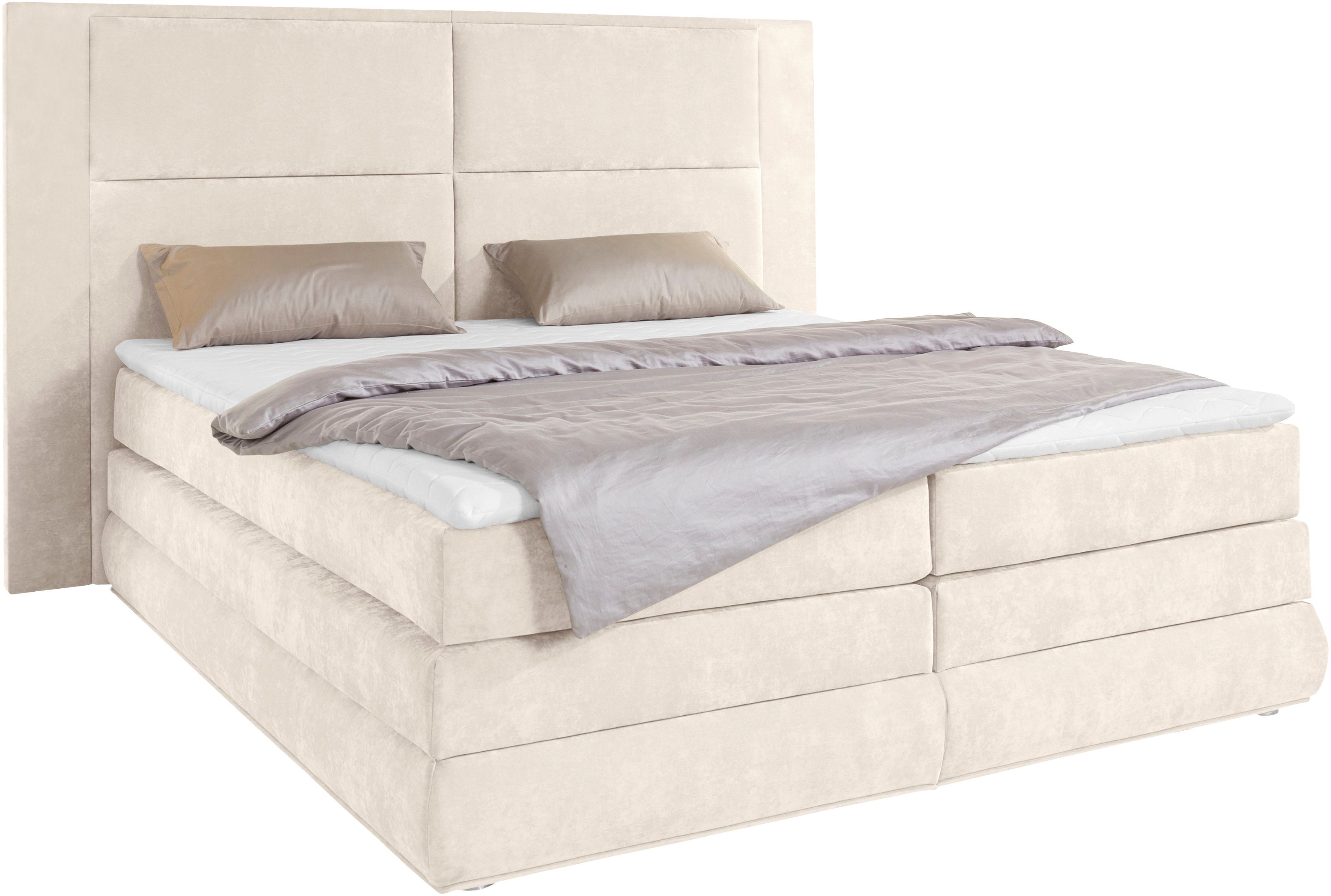 COLLECTION AB Boxspringbett Copenhagen, inklusive Bettkasten, günstig online kaufen