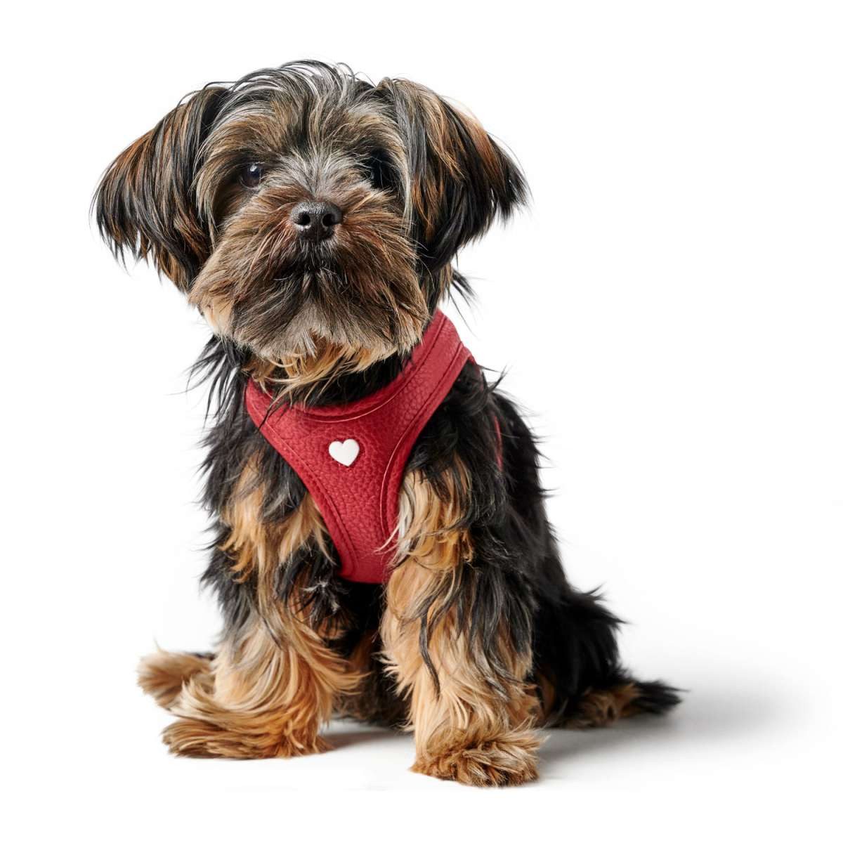 Hunter Hunde-Geschirr Geschirr Love rot/schwarz günstig online kaufen