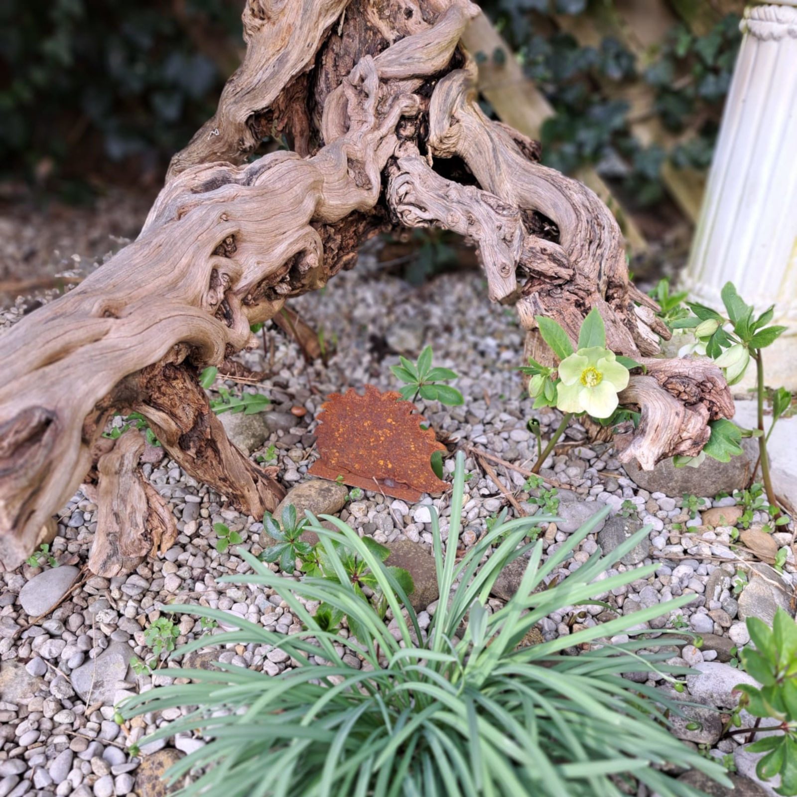 ZGM Dekofigur Rost Deko Igel Franzl, naturgetreue Gartendekoration – Bild 4 von 5