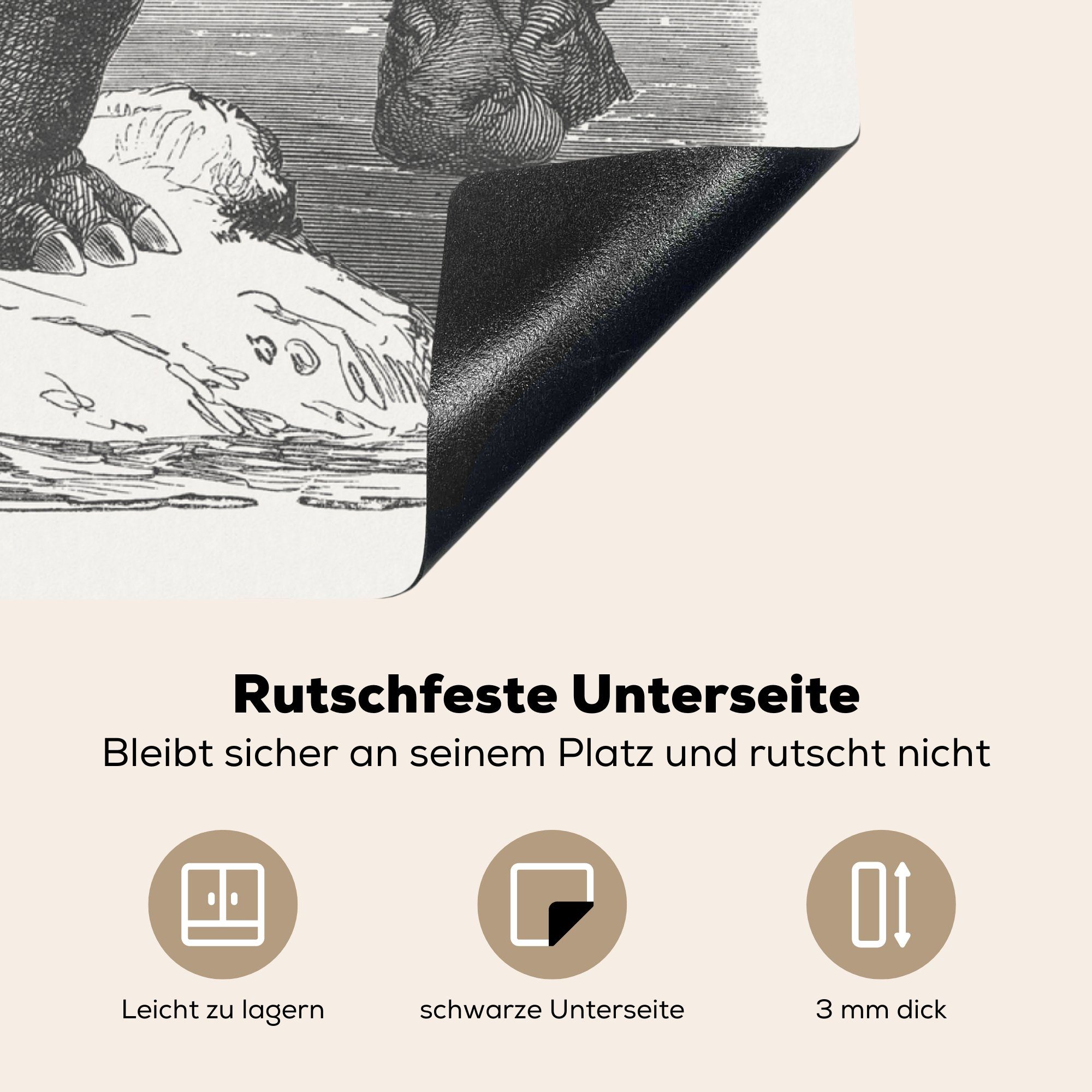 cm, 78x78 Herdblende-/Abdeckplatte am für eines Wasser, küche MuchoWow (1 Vinyl, tlg), Arbeitsplatte Ceranfeldabdeckung, Nilpferdes Illustration