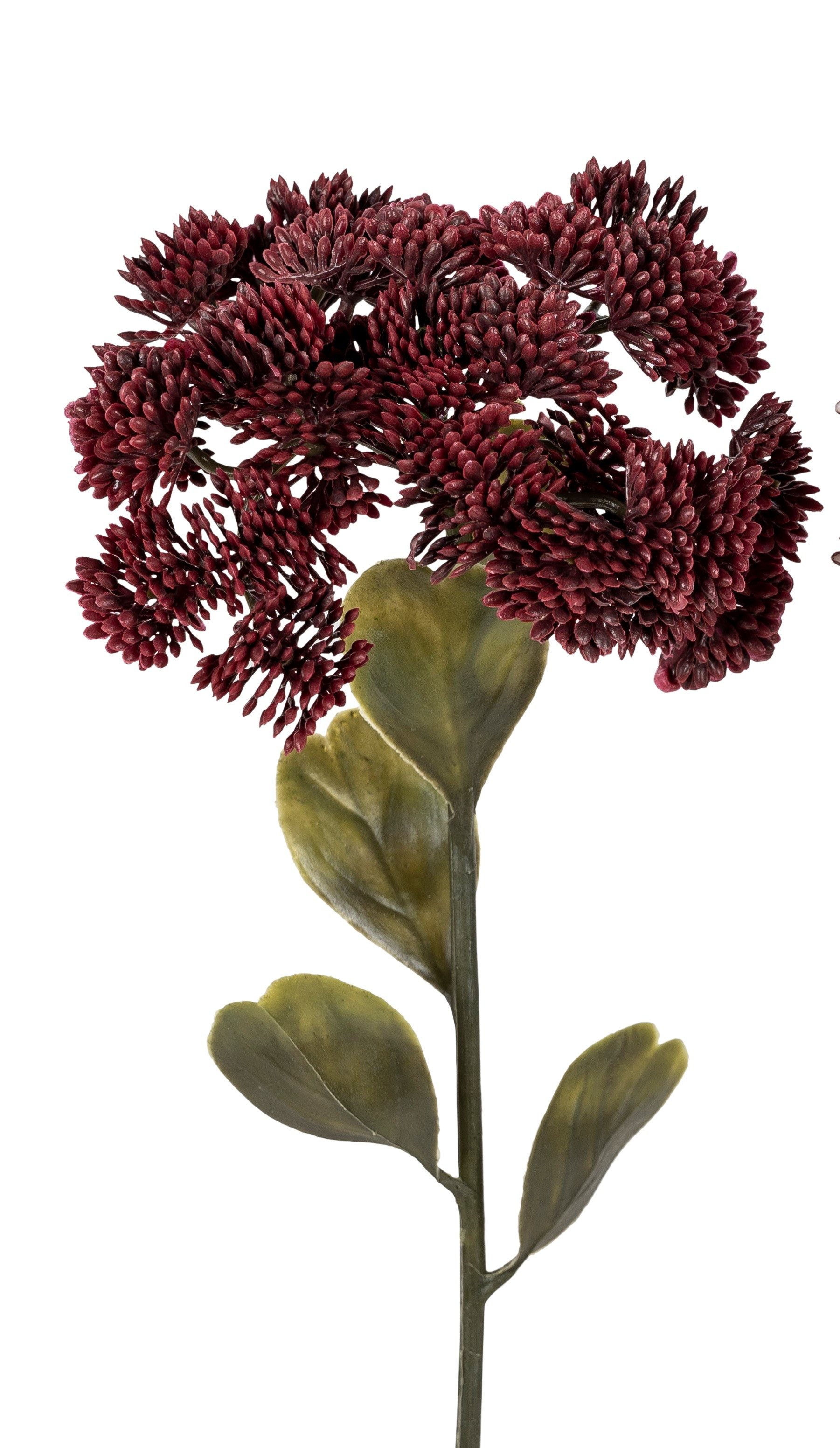 Kunstblume, formano, Höhe 46 cm, Farbe: Rot, Motiv: Sedumzweig günstig online kaufen