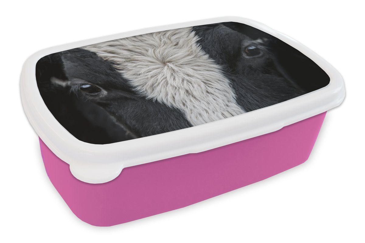 MuchoWow Lunchbox Kuh - Auge - Schwarz - Weiß, Kunststoff, (2-tlg), Brotbox für Erwachsene, Brotdose Kinder, Snackbox, Mädchen, Kunststoff rosa | Lunchboxen