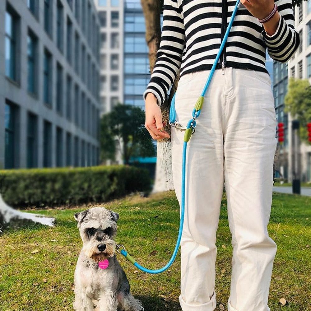 TUWENA Hundeleine Hundeleine für Mittel Große Hund(15-60kg), 2,4m Verstellbare Führleine, Handleine aus Nylon mit Reflektierend durch die Extreme Kraft bis200kg