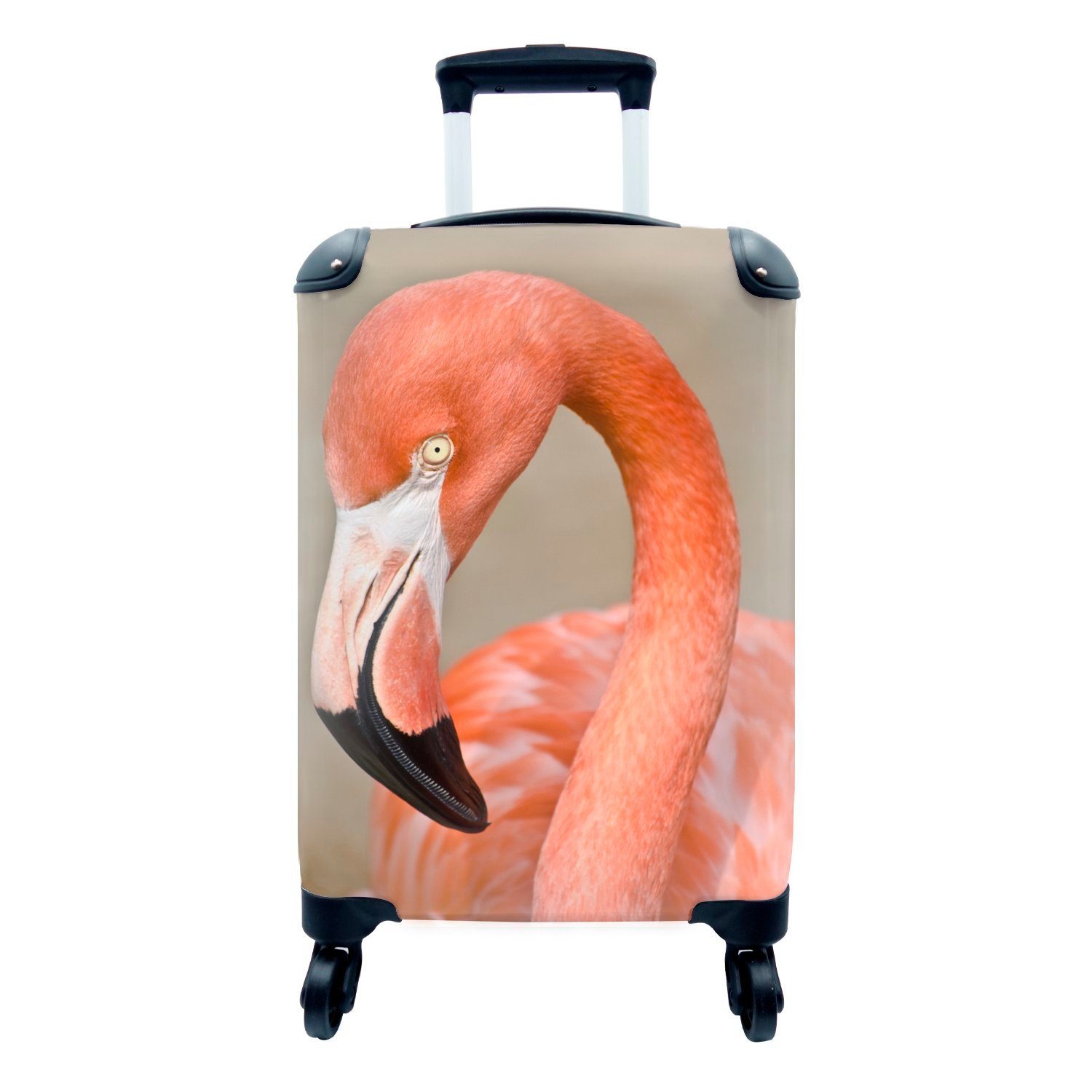 MuchoWow Handgepäckkoffer Reisekoffer Flamingos Eine Ferien, für mit Reisetasche Trolley, Nahaufnahme eines Ruhe, Rollen, 4 rollen, in Handgepäck