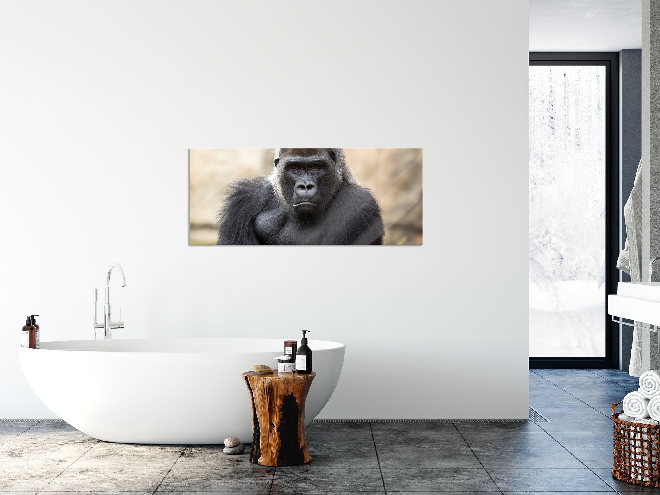 gelangweilter Gorilla Glasbild Pixxprint (1 Aufhängungen Abstandshalter und gelangweilter Glasbild aus Gorilla, Echtglas, inkl. St),