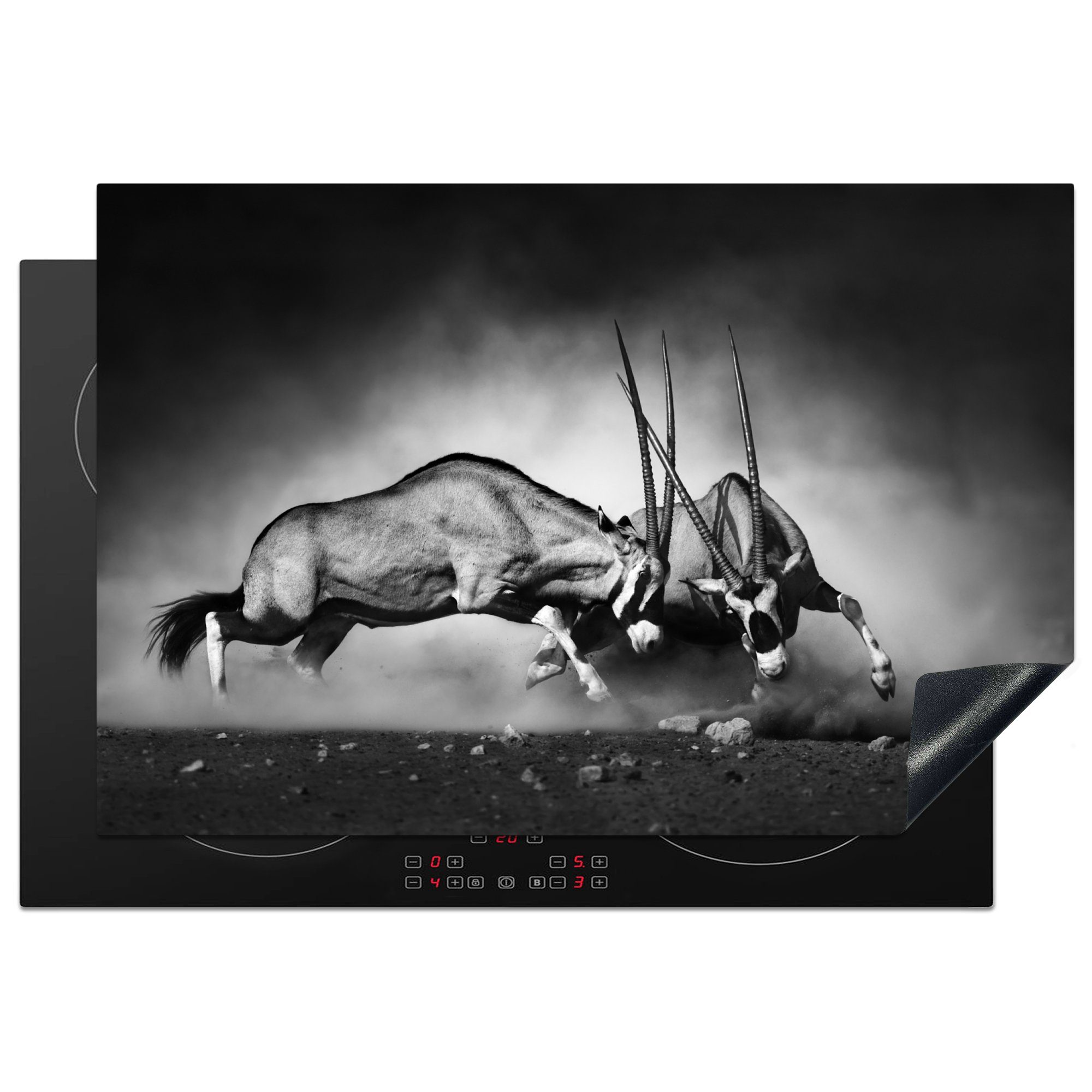 MuchoWow Herdblende-/Abdeckplatte Antilope - Schwarz und weiß - Porträt - Wildtiere - Tiere, Vinyl, (1 tlg), 77x51 cm, Ceranfeldabdeckung, Arbeitsplatte für küche
