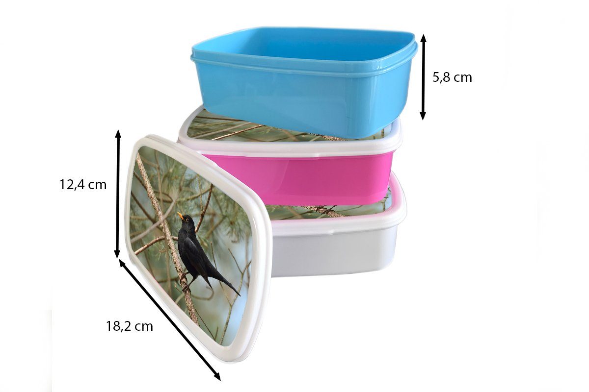 MuchoWow Lunchbox Jungs Brotdose, Amsel (2-tlg), - Zweige Kunststoff, Vogel weiß Mädchen - und Kinder und für Erwachsene, - Tiere, für Brotbox