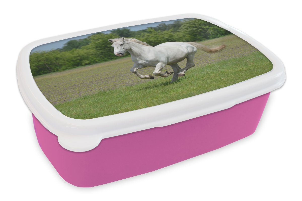 Brotdose Pferde Erwachsene, MuchoWow Kunststoff (2-tlg), - Snackbox, Natur Weiß, Mädchen, Lunchbox Kinder, für - rosa Brotbox Kunststoff,