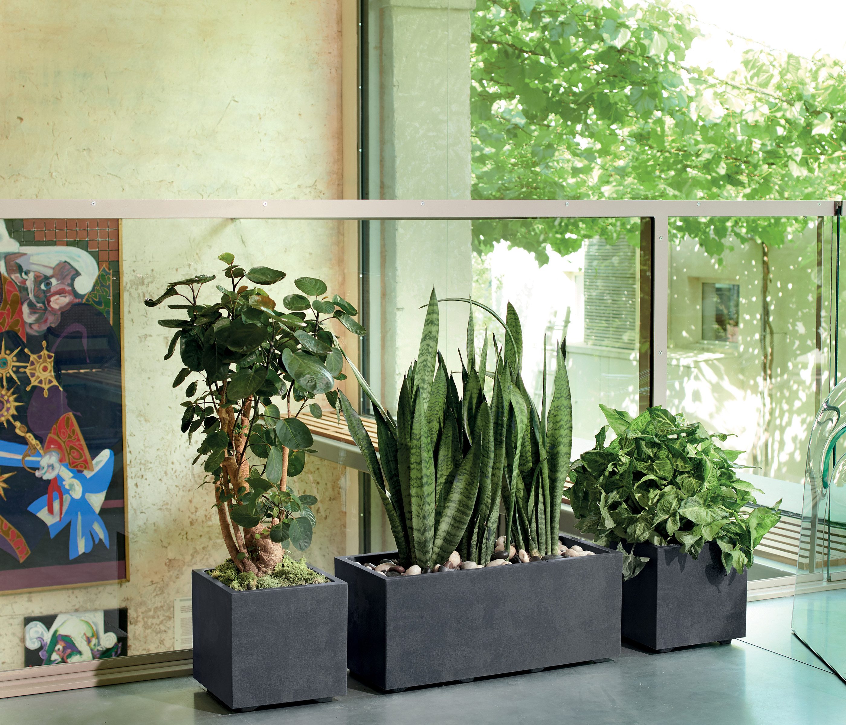 Deroma Blumenkasten Pflanzkübel Millenium, Outdoor Blumenkasten, günstig online kaufen