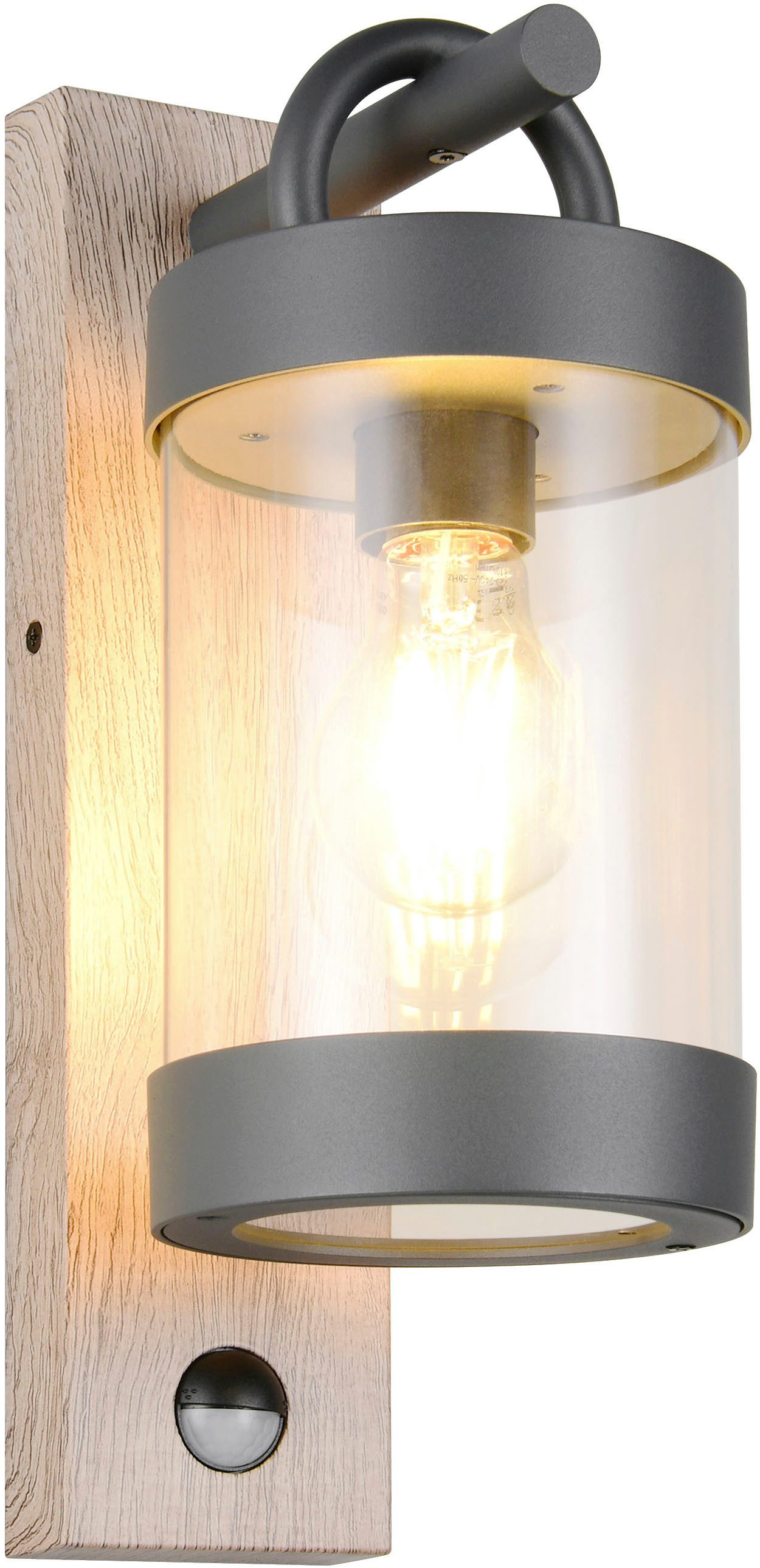 TRIO Leuchten Außen-Wandleuchte SAMBESI, Laternen Optik günstig online kaufen