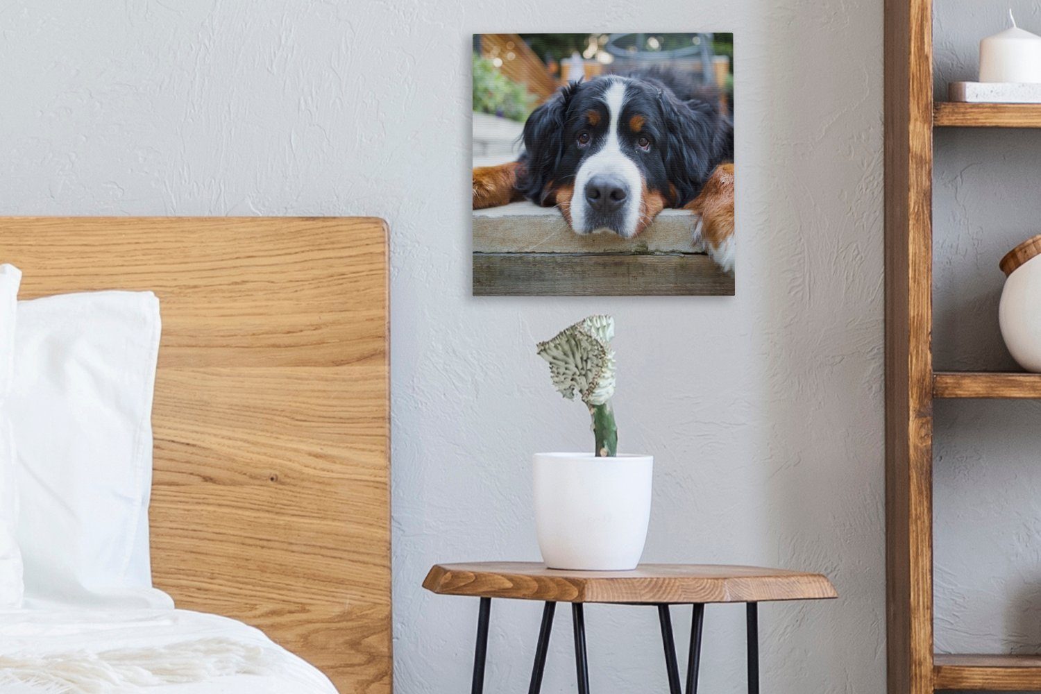 Bilder Leinwand Schlafzimmer für Sennenhund, Leinwandbild Berner Wohnzimmer OneMillionCanvasses® Shady St), (1