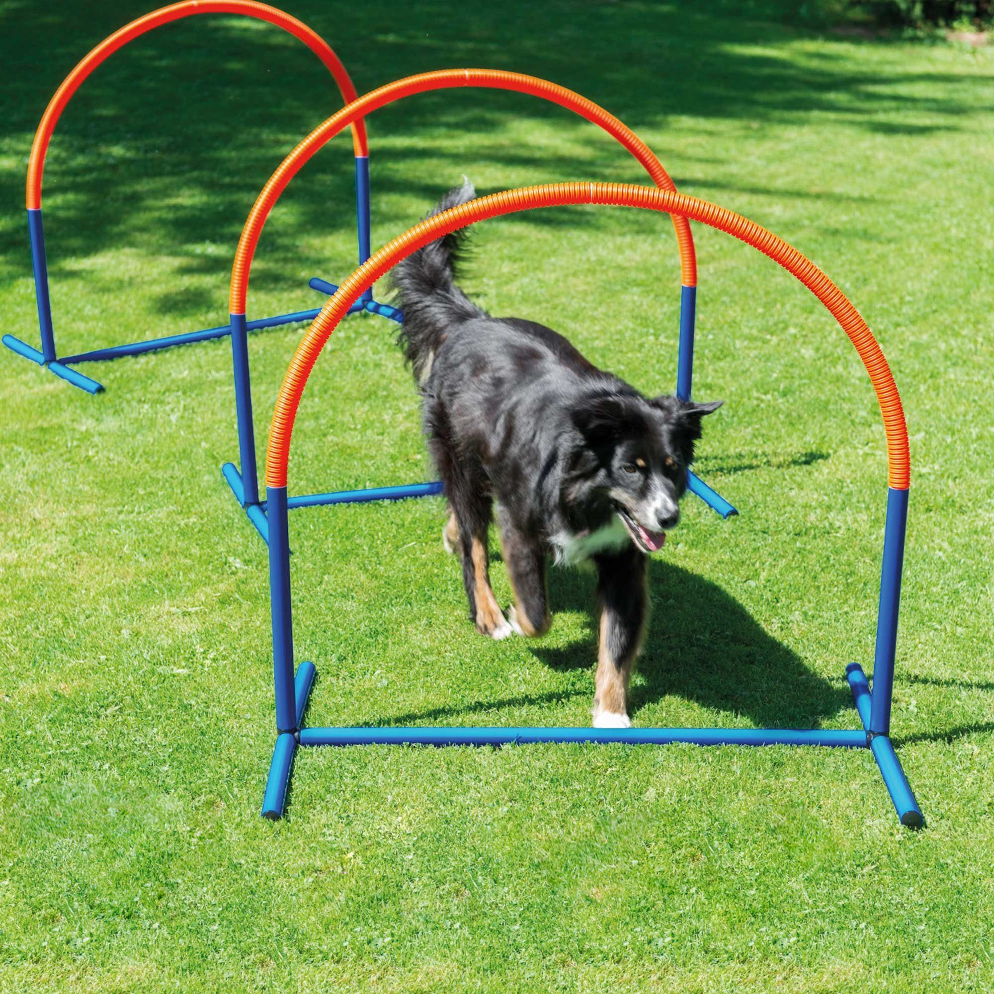 Thumbnail - Procyon Agility-Reifen Hoopers Hunde Agility Bogen, Kunststoff, (3-tlg) Die Hoopers sind eine tolle Erweiterung eines je...