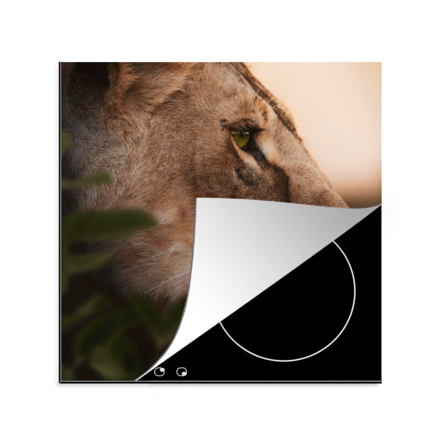 MuchoWow Herdblende-/Abdeckplatte Löwe - Wilde Tiere - Dschungel, Vinyl, (1 tlg), 78x78 cm, Ceranfeldabdeckung, Arbeitsplatte für küche