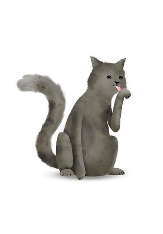 Komar Poster »Cute Animal Cat« Tiere Höhe: 7...