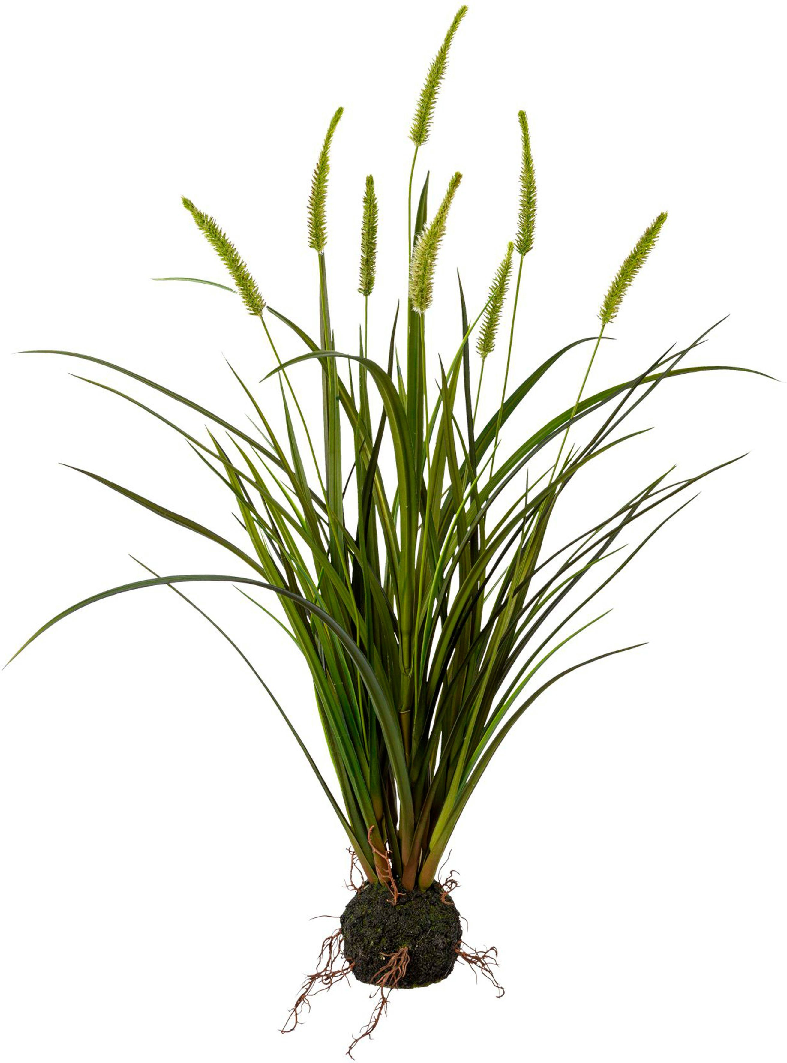 Kunstgras Miscanthus im Erdballen, Creativ green, Höhe 75 cm günstig online kaufen