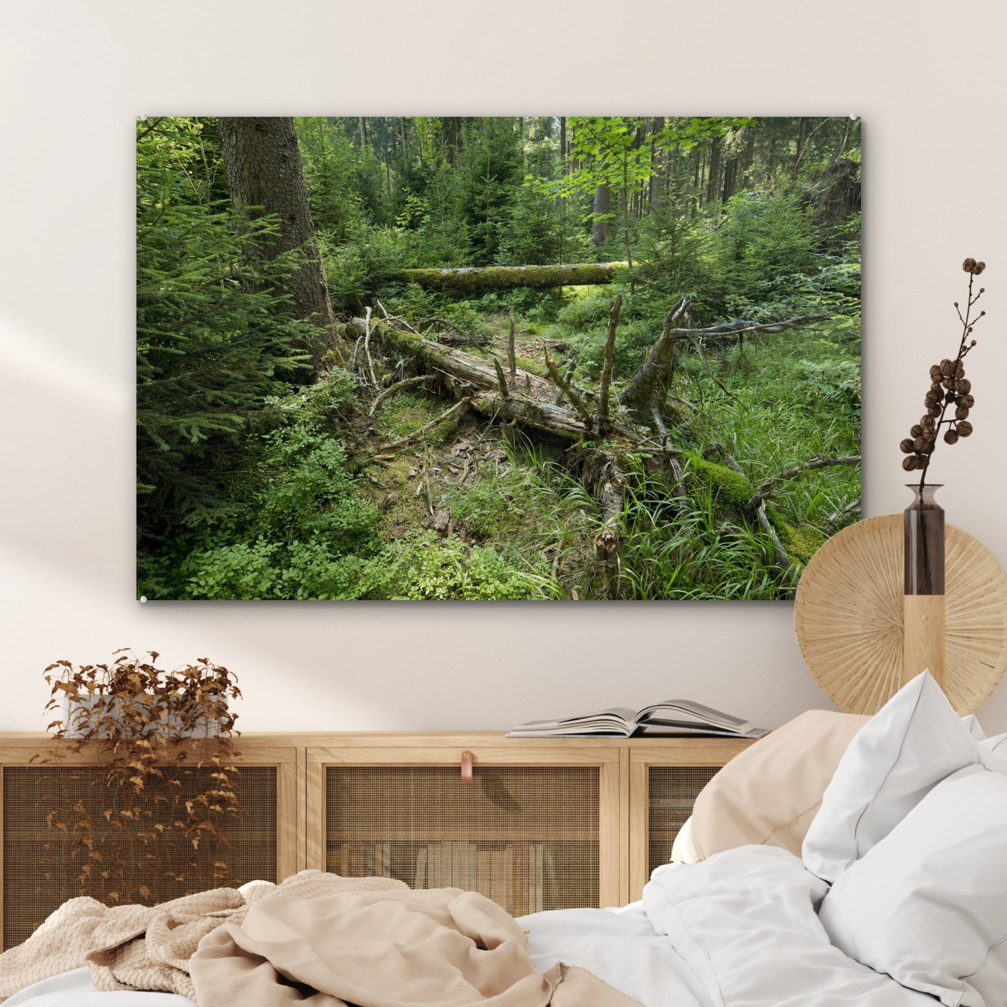 Alter Schlafzimmer im Acrylglasbilder Wald & Acrylglasbild des Wohnzimmer fällt Nationalparks Deutschland, Harz, St), Baum (1 grünen MuchoWow