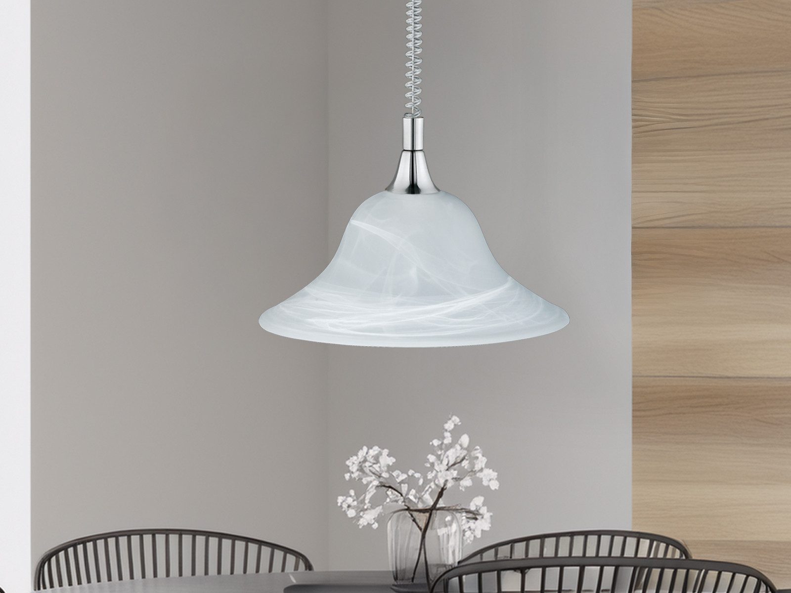 TRIO Leuchten LED Pendelleuchte, LED wechselbar, günstig online kaufen