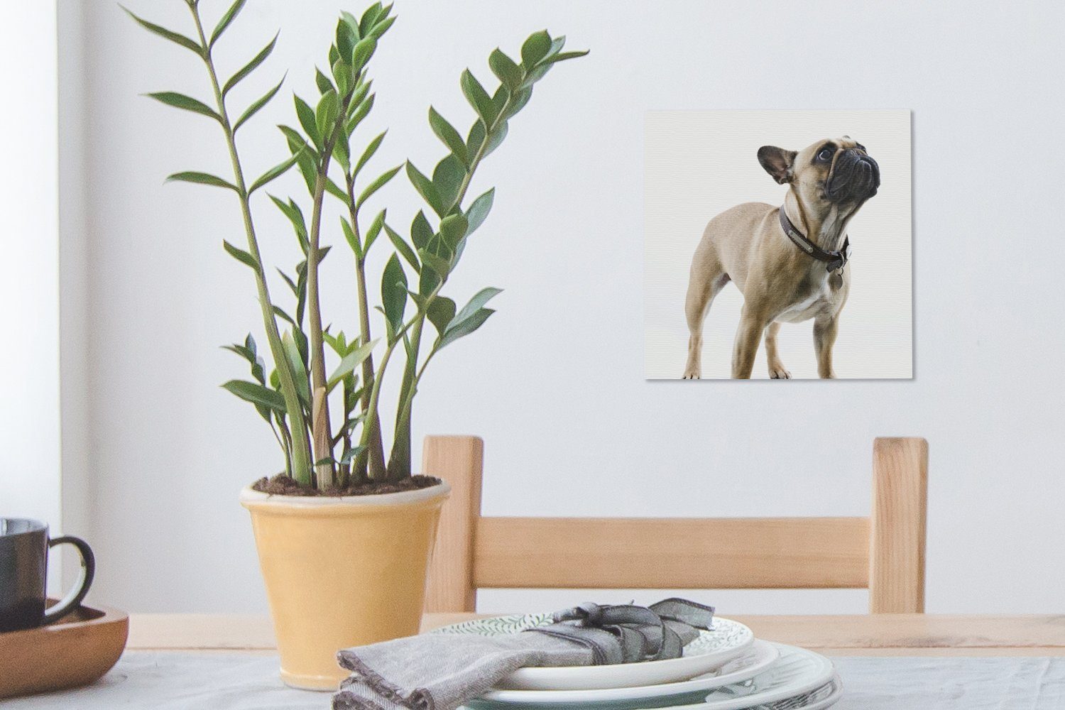 für Bilder Wohnzimmer Halsband (1 Braun, OneMillionCanvasses® Leinwand - - Französische St), Leinwandbild Schlafzimmer Bulldogge