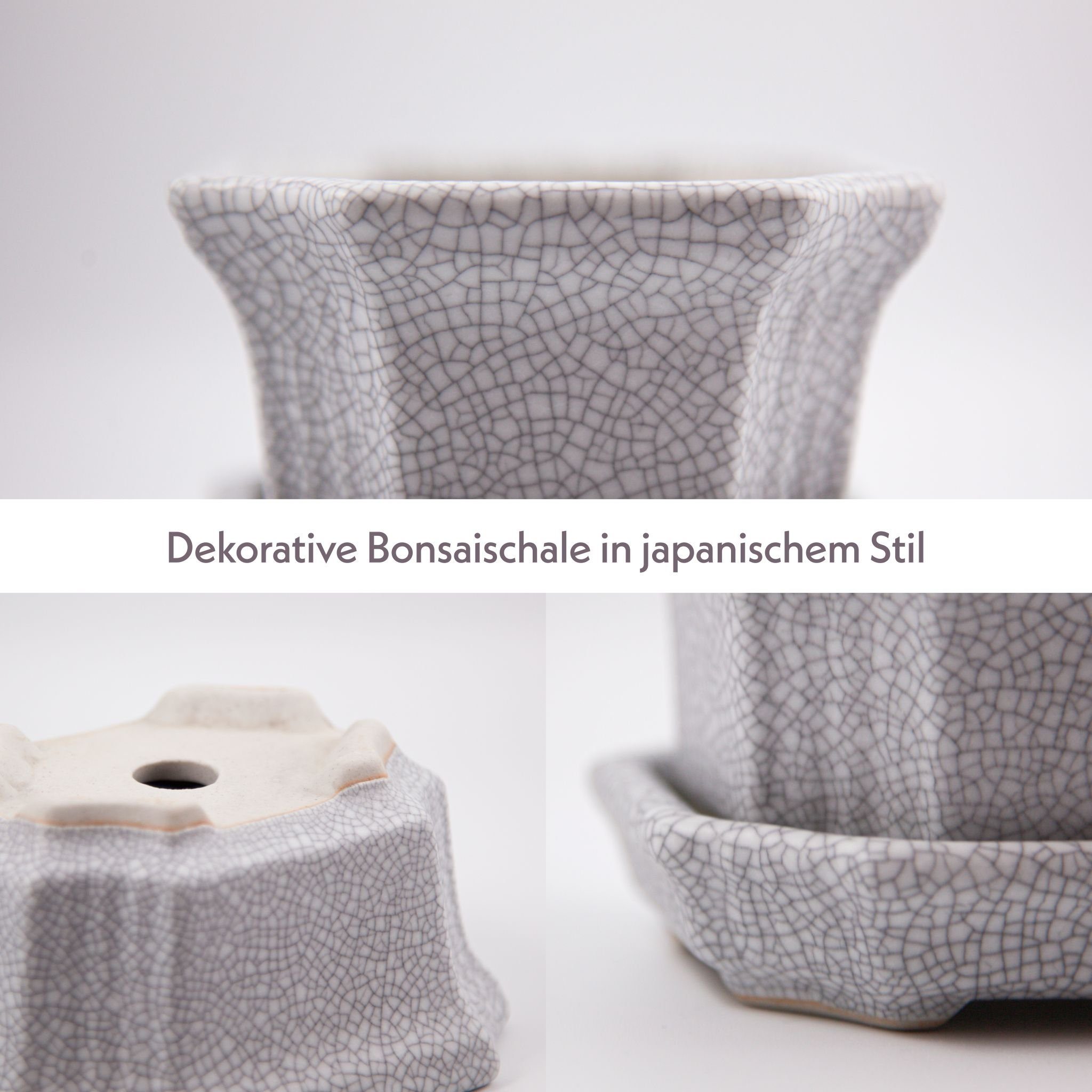 HappySeed Pflanzschale Bonsai - mit 9 aus Untersetzer x Grau in cm Schale Keramik 11 6,5 x