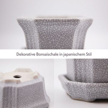 HappySeed Pflanzschale Bonsai Schale aus Keramik mit Untersetzer in Grau - 11 x 6,5 x 9 cm