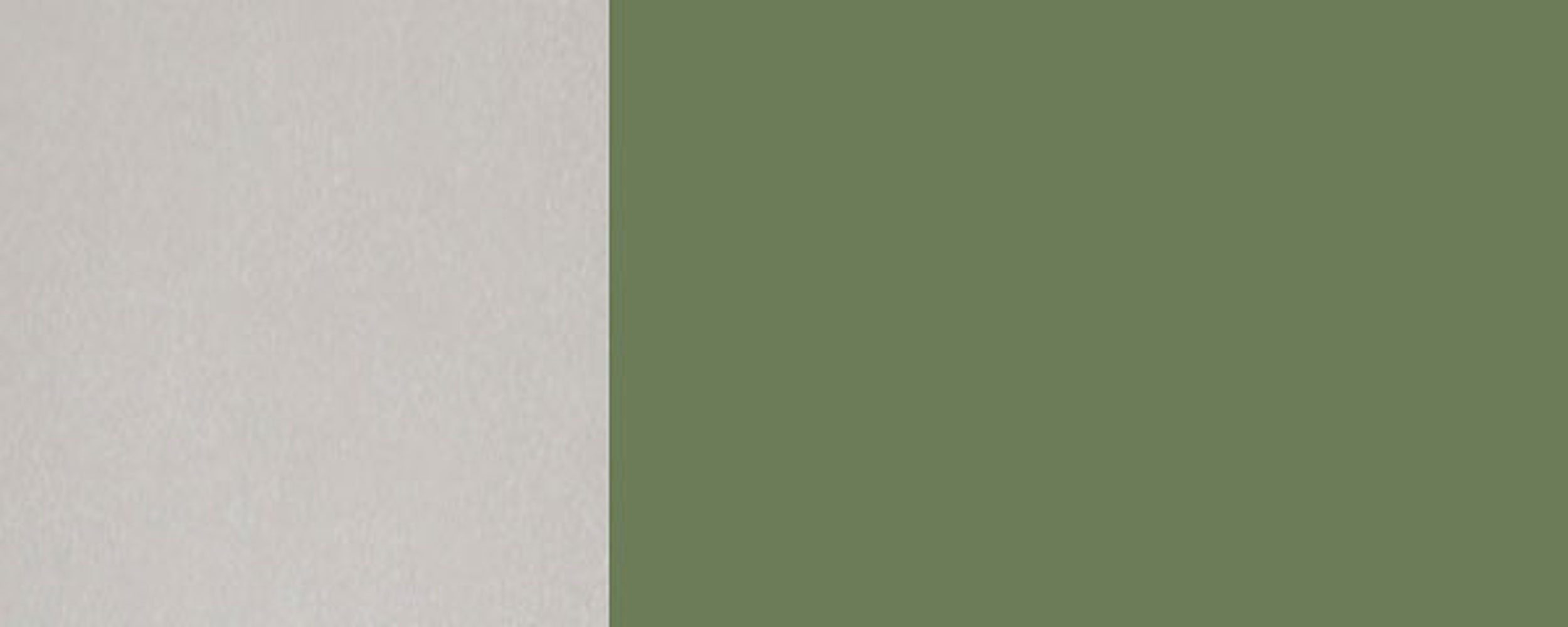 Feldmann-Wohnen Unterschrank Tivoli (Tivoli) 6011 Front- resedagrün und matt (Teilauszug) RAL Schubladen mit wählbar Korpusfarbe 2 120cm