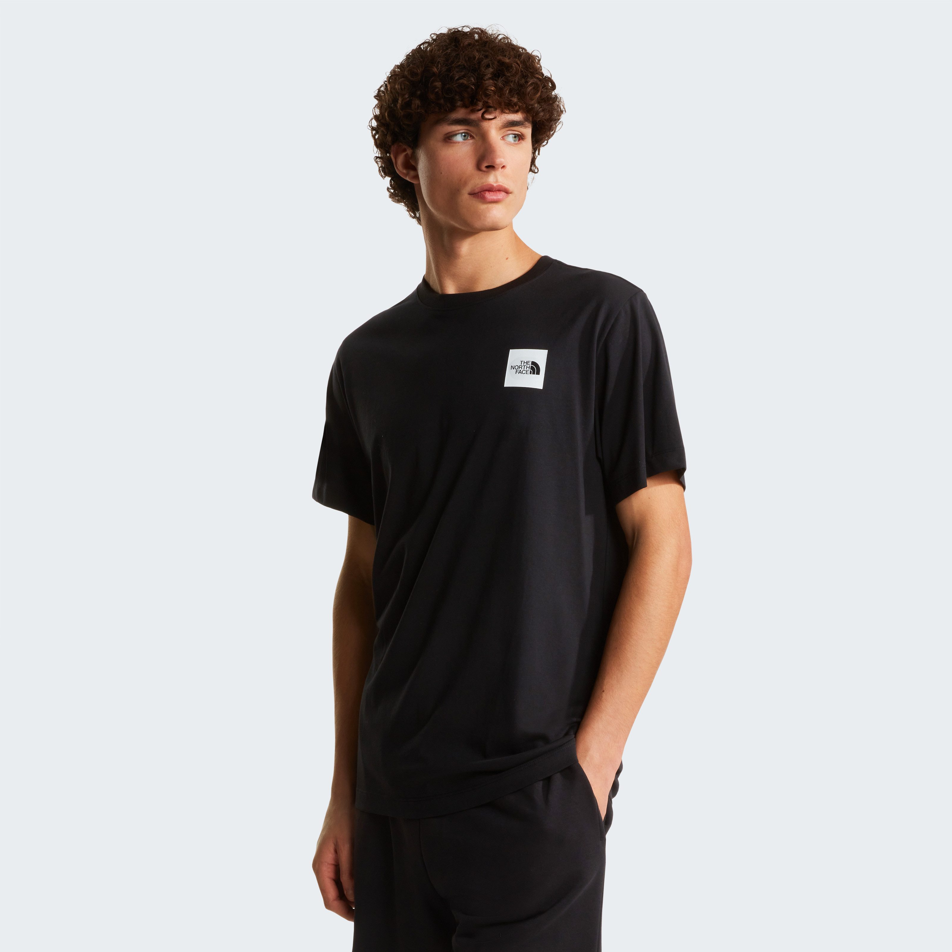 The North Face T-Shirt M EVOLUTION BOX HALF DOME REGULAR SHORT SLEEVE TEE K günstig online kaufen