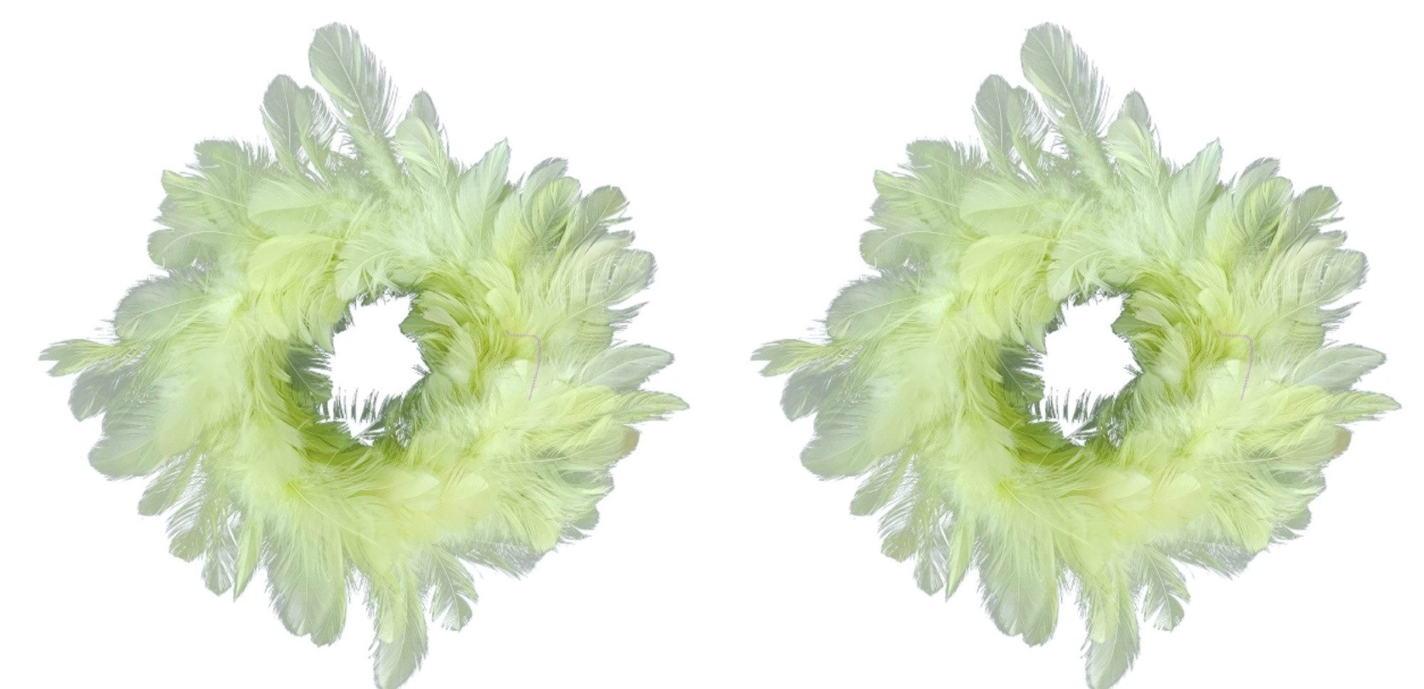 Exner GmbH Garten- & Wohnaccessoires Dekokranz Federkranz Grün Klein 2er Set 20 cm Deko Ostern Frühling, beidseitig mit Federn besetzt