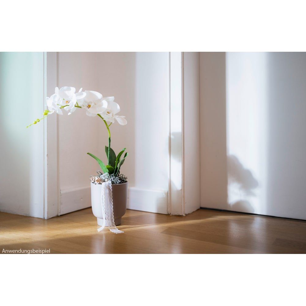 Kunstblume Künstliche Orchidee aus Kunststoff in weiß mit 7 Blüten 87 cm Or günstig online kaufen