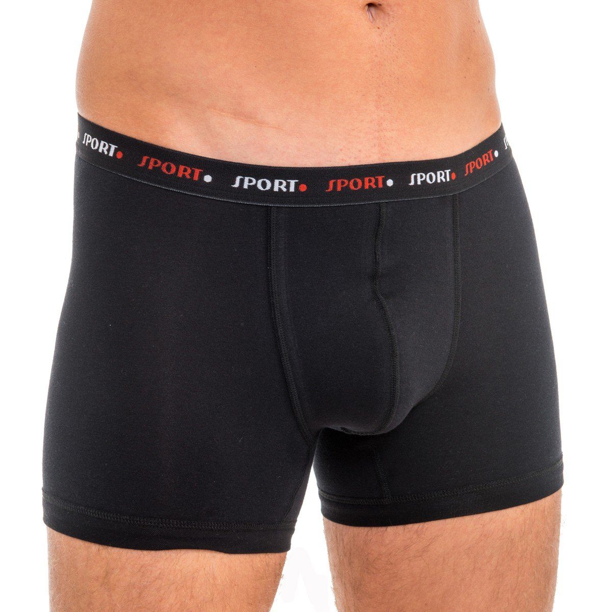 HERMKO Hipster 8950 Herren Pant Boxershorts mit Webbund günstig online kaufen
