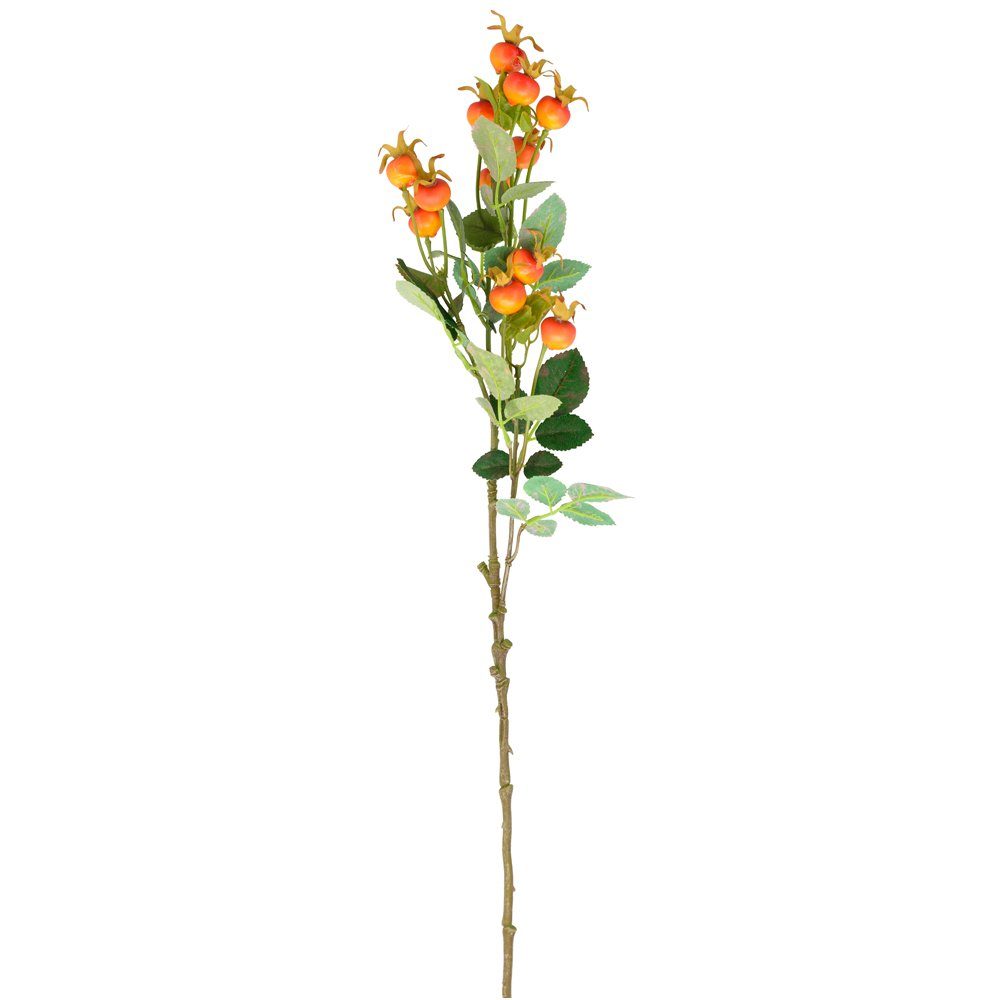 Kunstblume Kunstpflanze Hagebutte Kunstzweig orange 70x21x9 cm Hagebutten, matches21 HOME & HOBBY, Höhe 9 cm