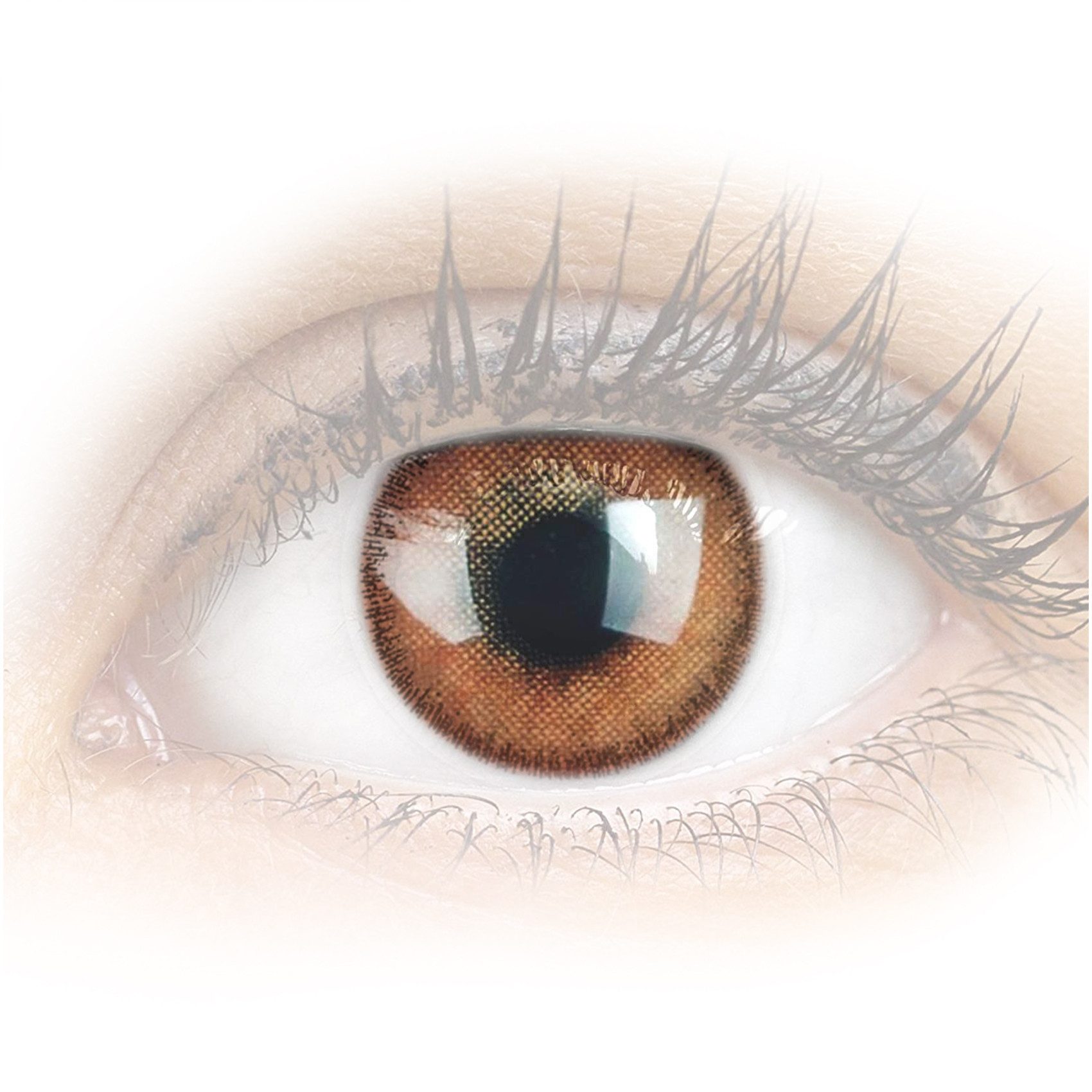 GLAMLENS Monatslinsen Stark deckende & natürliche braune Linsen Mirel Choco mit/ohne Stärke