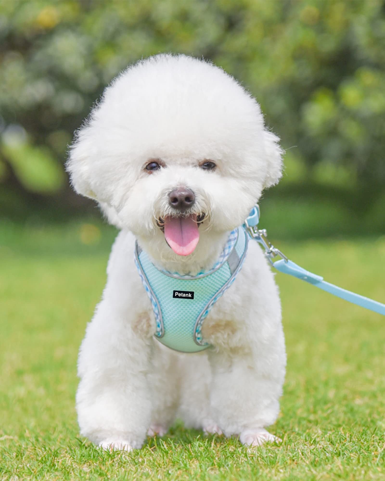 Ledander Hunde-Geschirr Hundegeschirr für kleine und mittelgroße Hunde, Kat günstig online kaufen