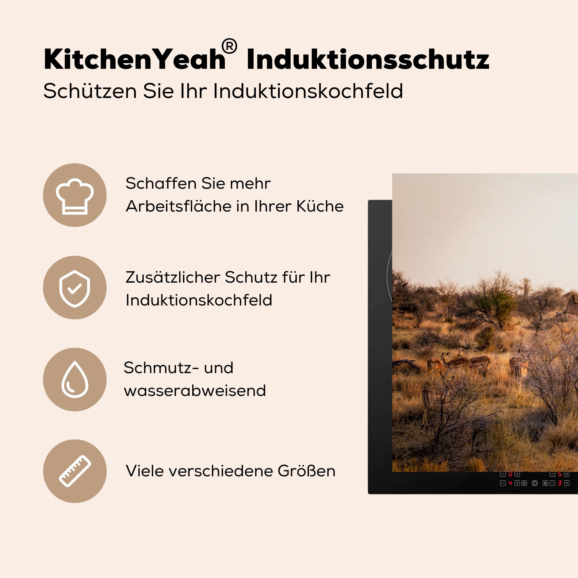 cm, Herdblende-/Abdeckplatte Die Vinyl, MuchoWow (1 83x51 für Ceranfeldabdeckung, Arbeitsplatte Südafrika, Landschaft Krügerparks küche in des tlg),