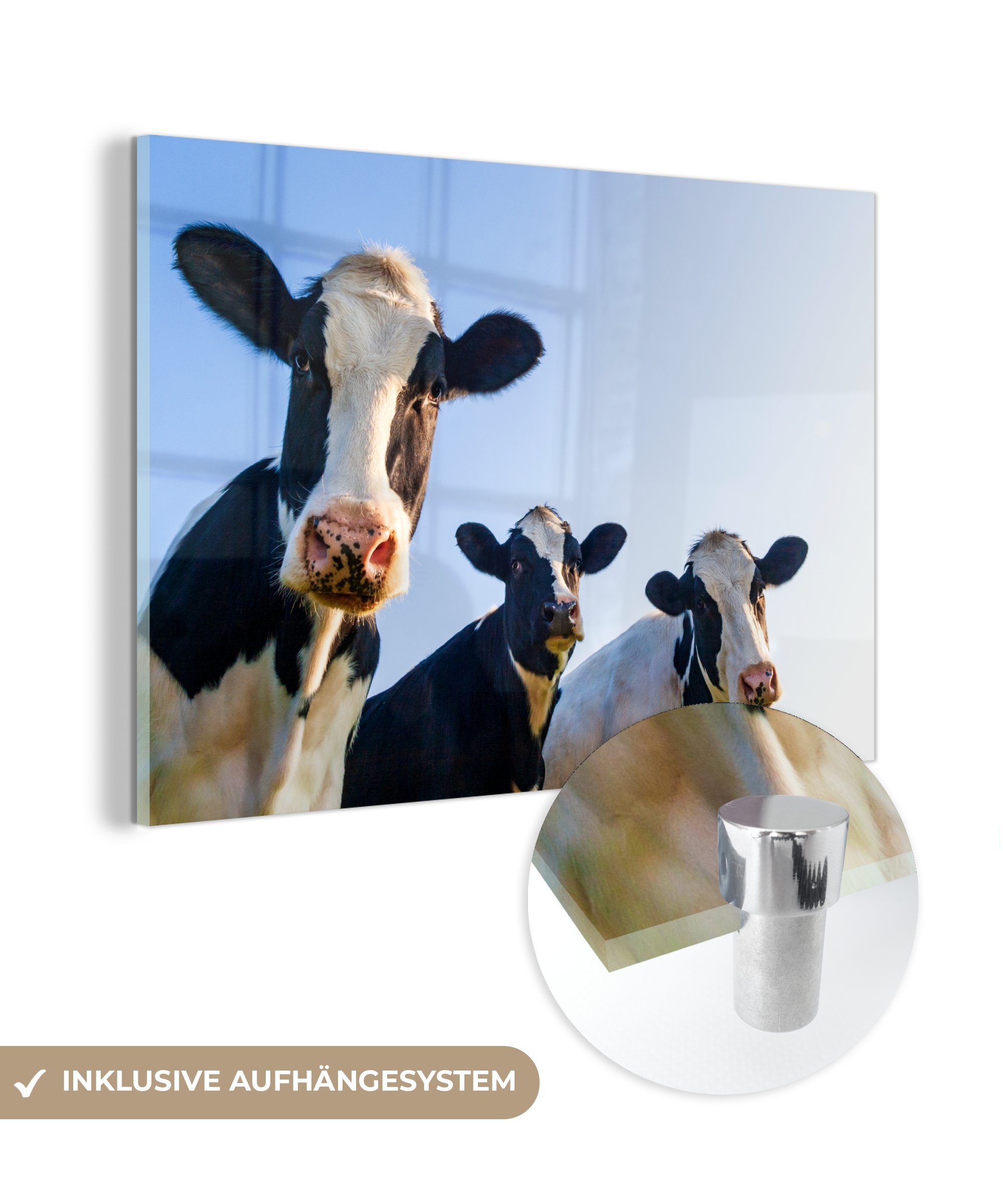MuchoWow Acrylglasbild Kuh - Tiere - Blau - Makro, (1 St), Acrylglasbilder Wohnzimmer & Schlafzimmer