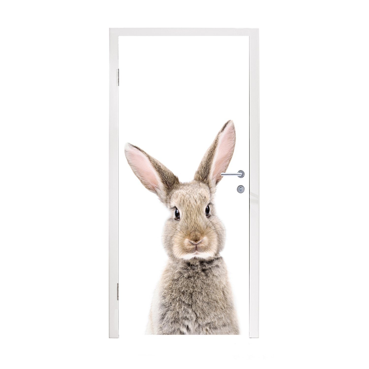 MuchoWow Türtapete Kaninchen - Tiere - Natur - Braun, Matt, bedruckt, (1 St), Fototapete für Tür, Türaufkleber, 75x205 cm