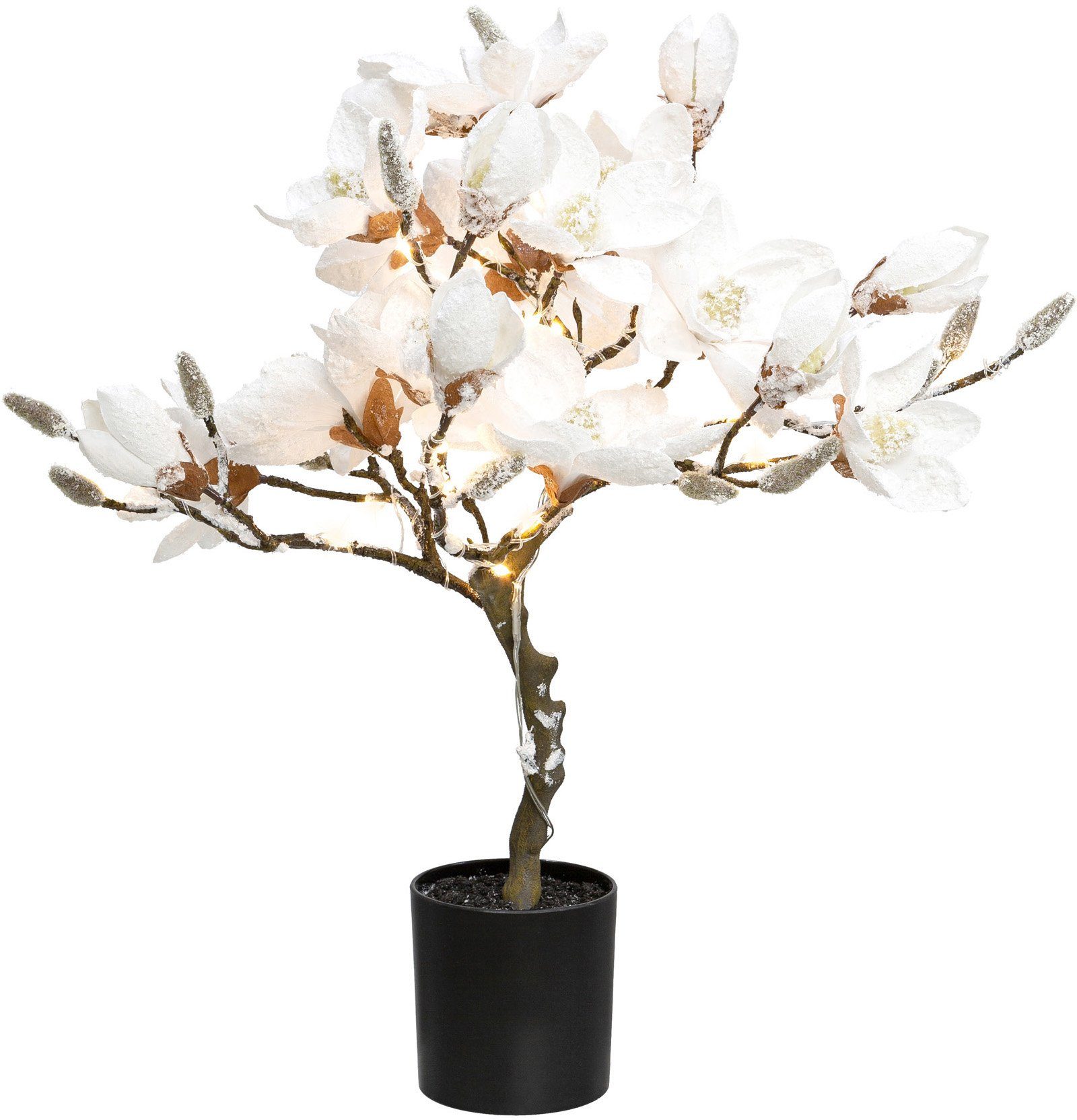 Kunstpflanze Magnolie, Creativ deco, Höhe 58 cm, beschneit, mit 20 LEDs