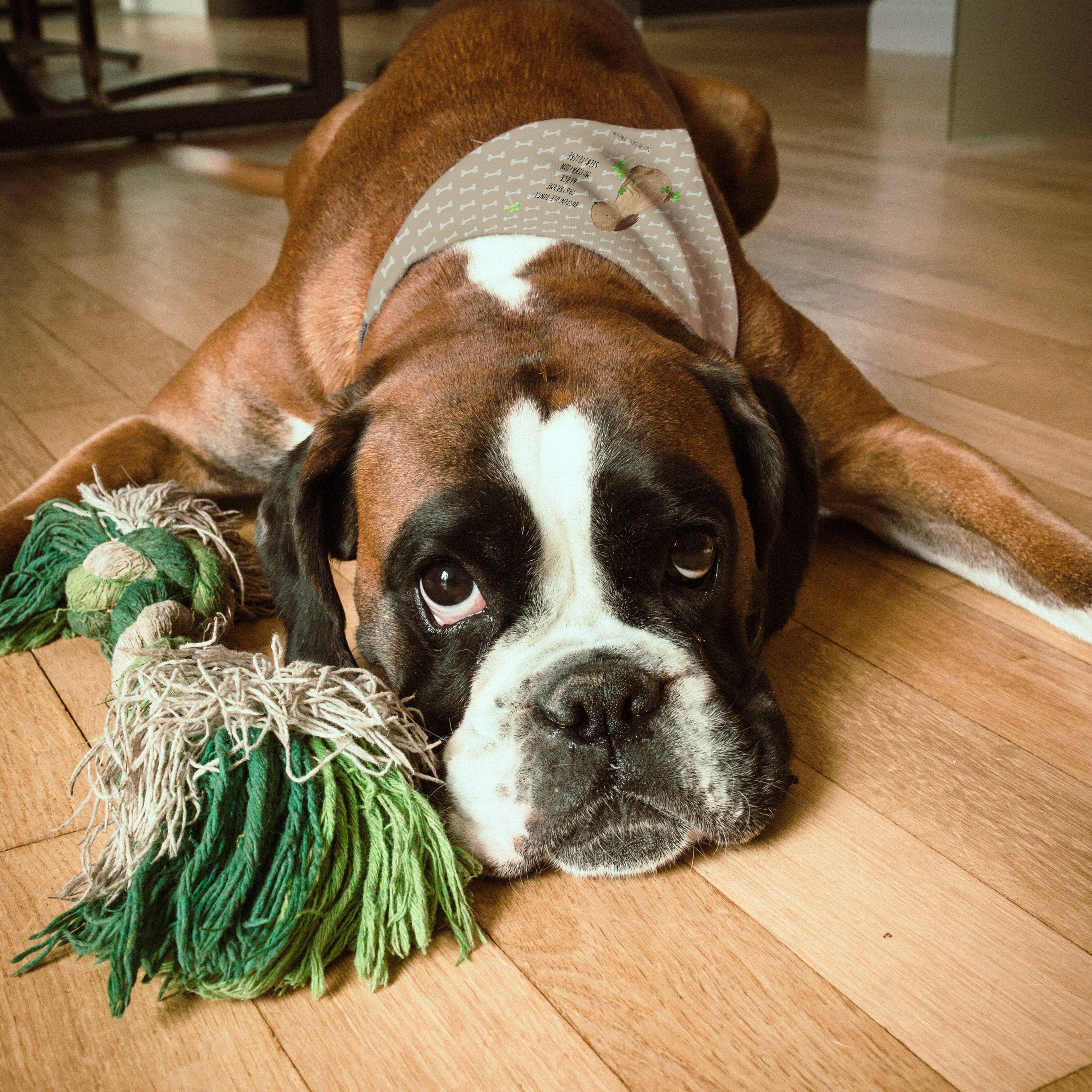 Mr. & Mrs. Panda Hundefliege Hund Kleeblatt, Hundehalstuch L, Hundeglück, Glück, Halstuch, Sprüche, Polyester